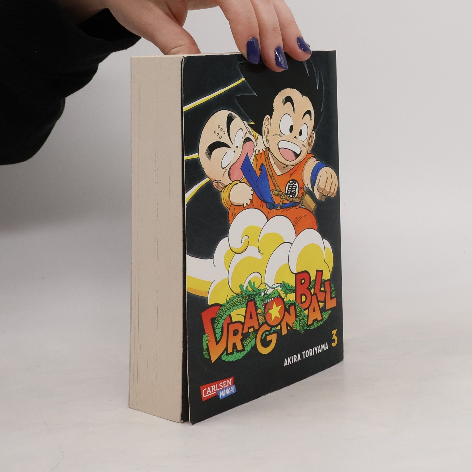 Akira Toriyama Dragon Ball Massiv 3