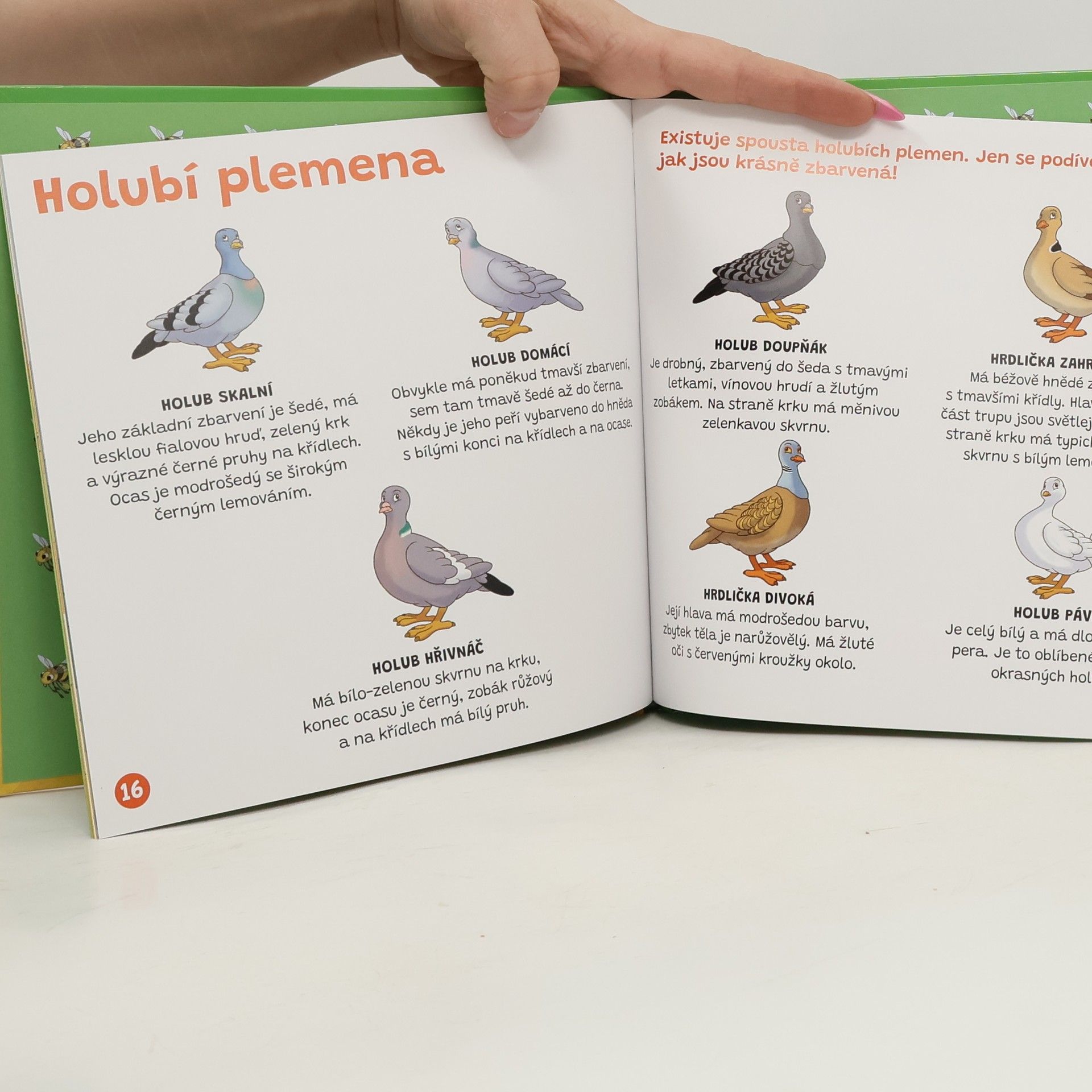 AA.VV. Audio příběhy z naší farmy. Holub