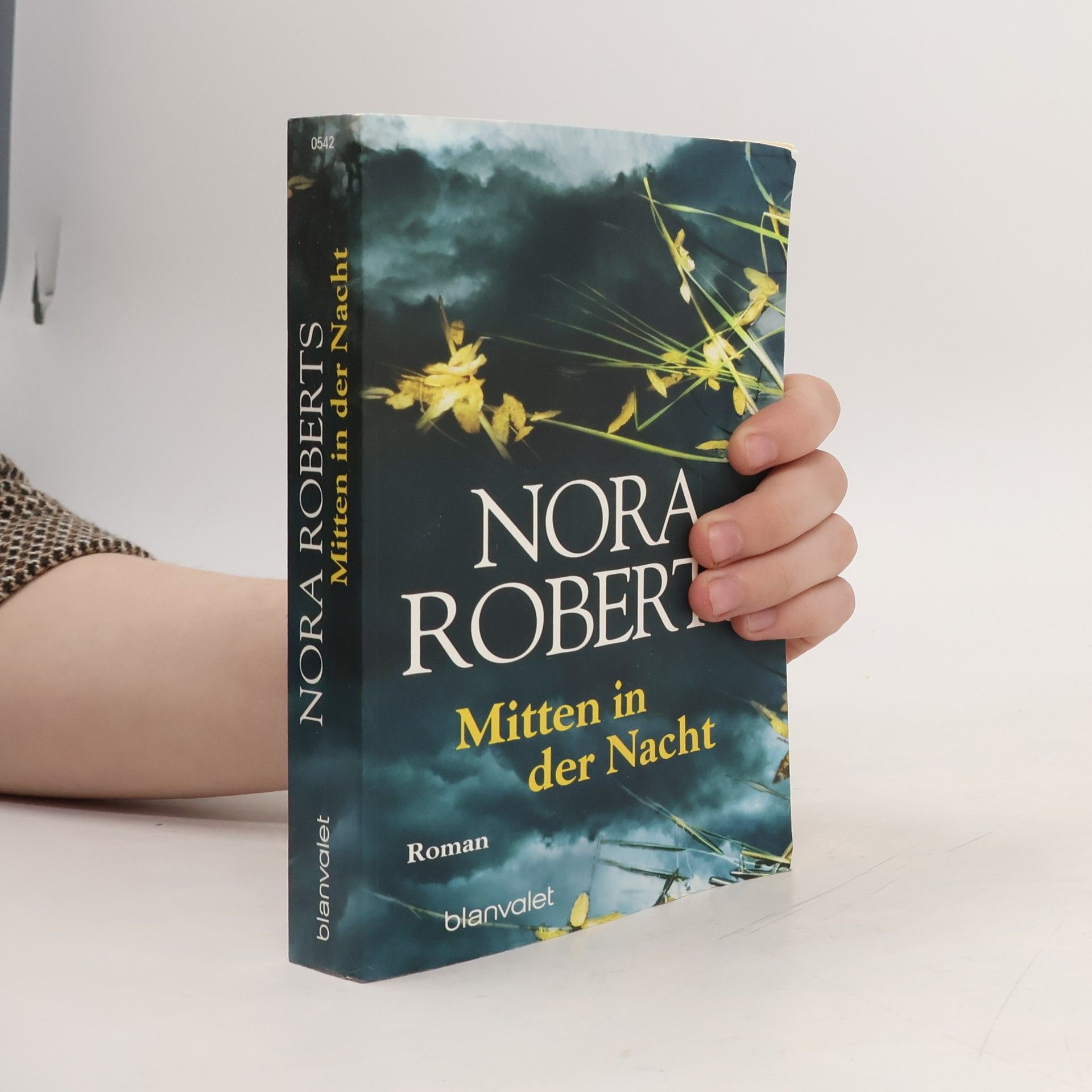 Nora Roberts Mitten in der Nacht
