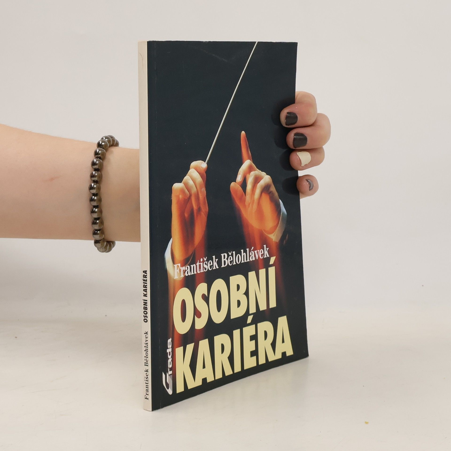 František Bělohlávek Osobní kariéra