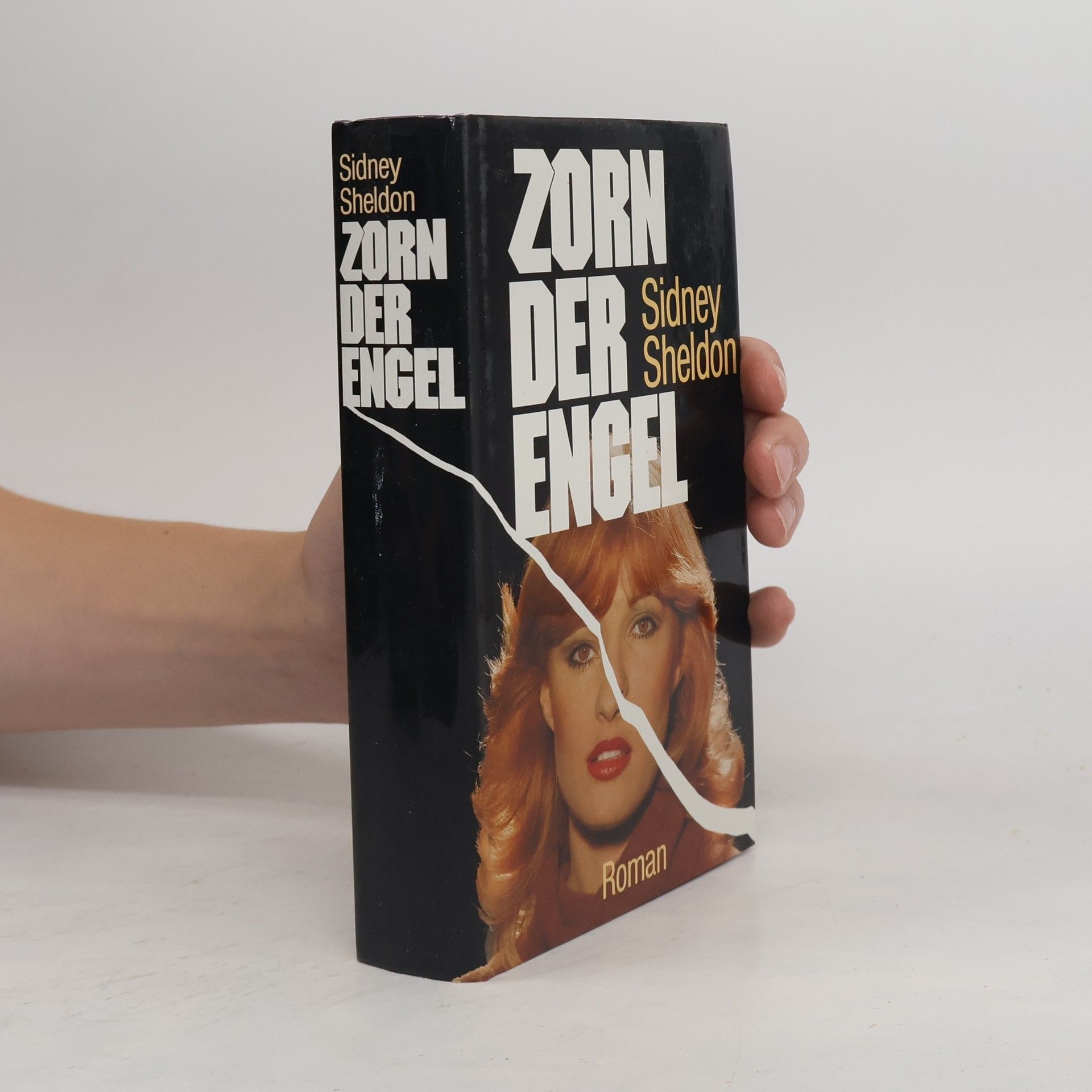 Sidney Sheldon Zorn der Engel
