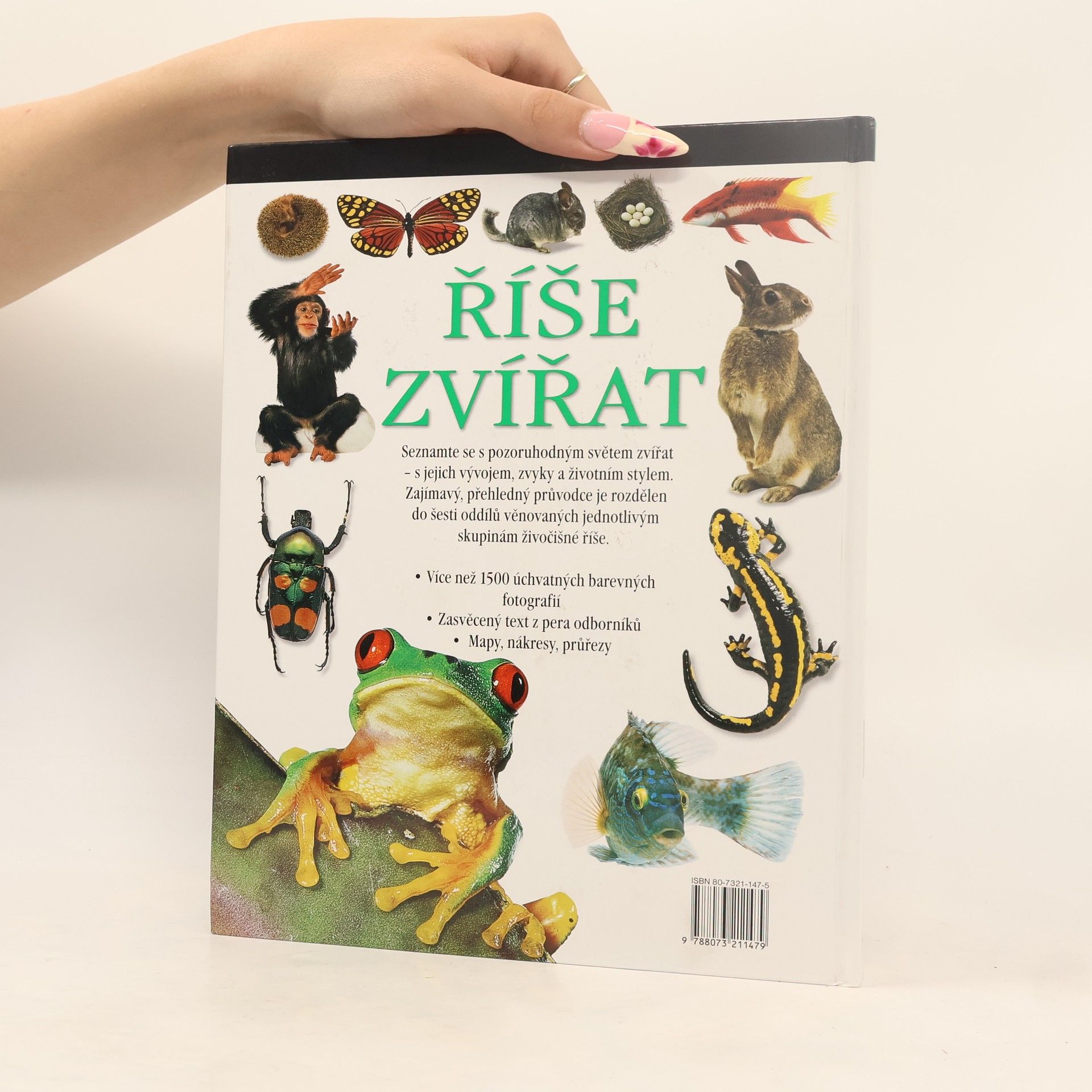Kolektiv autorů Říše zvířat
