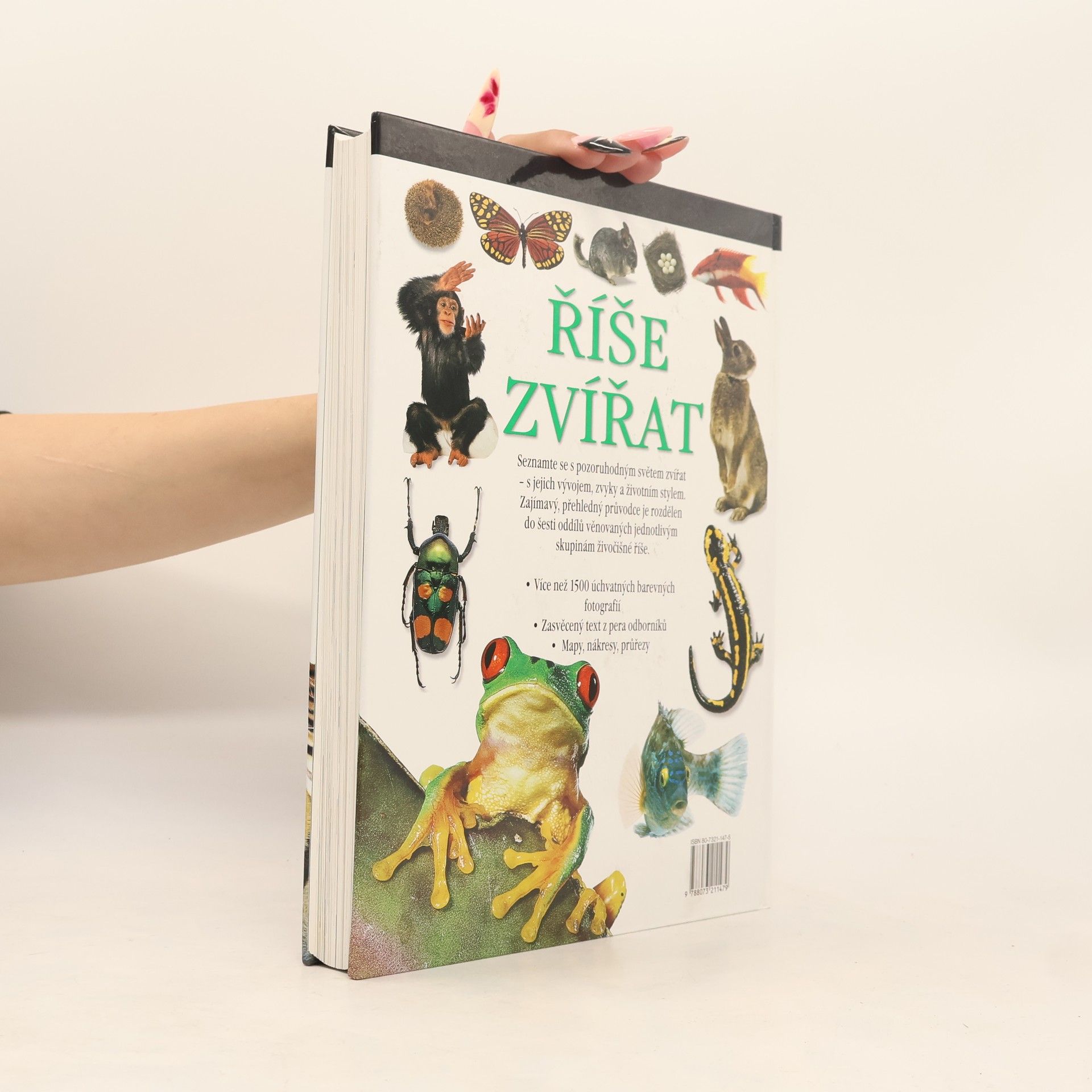 Kolektiv autorů Říše zvířat