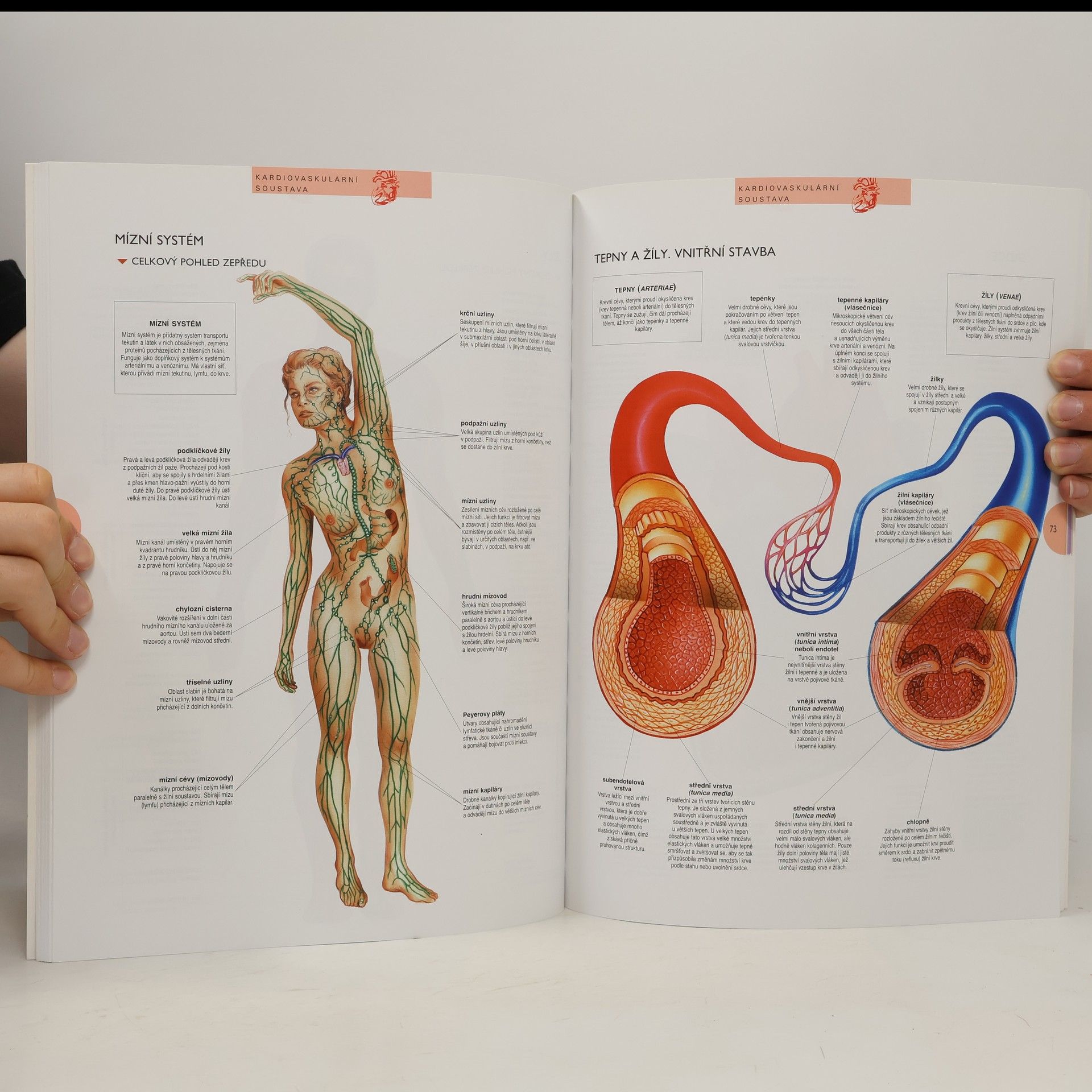 Autorenkollektiv Atlas lidského těla