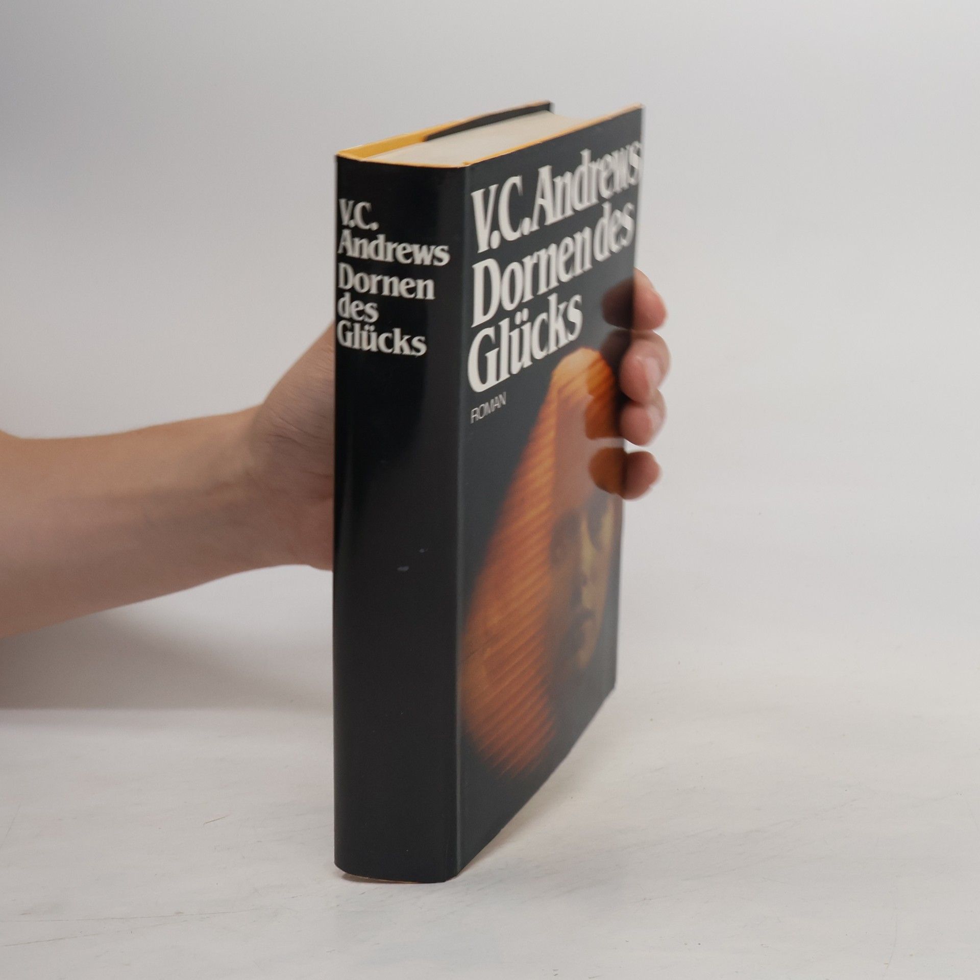 V. C. Andrews Dornen des Glücks