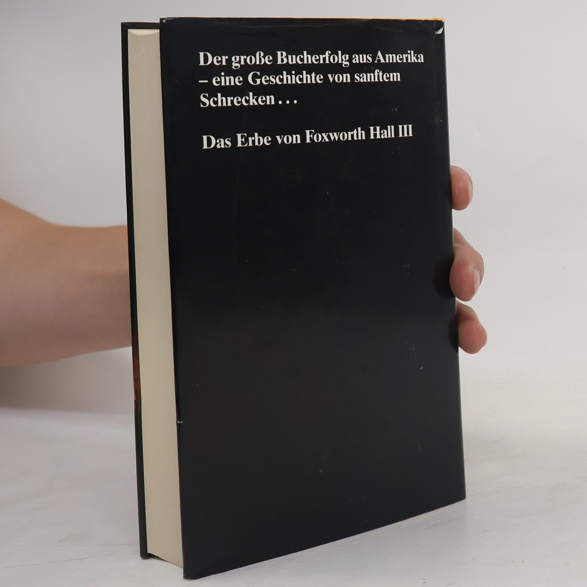 Virginia Cleo Andrews Dornen des Glücks