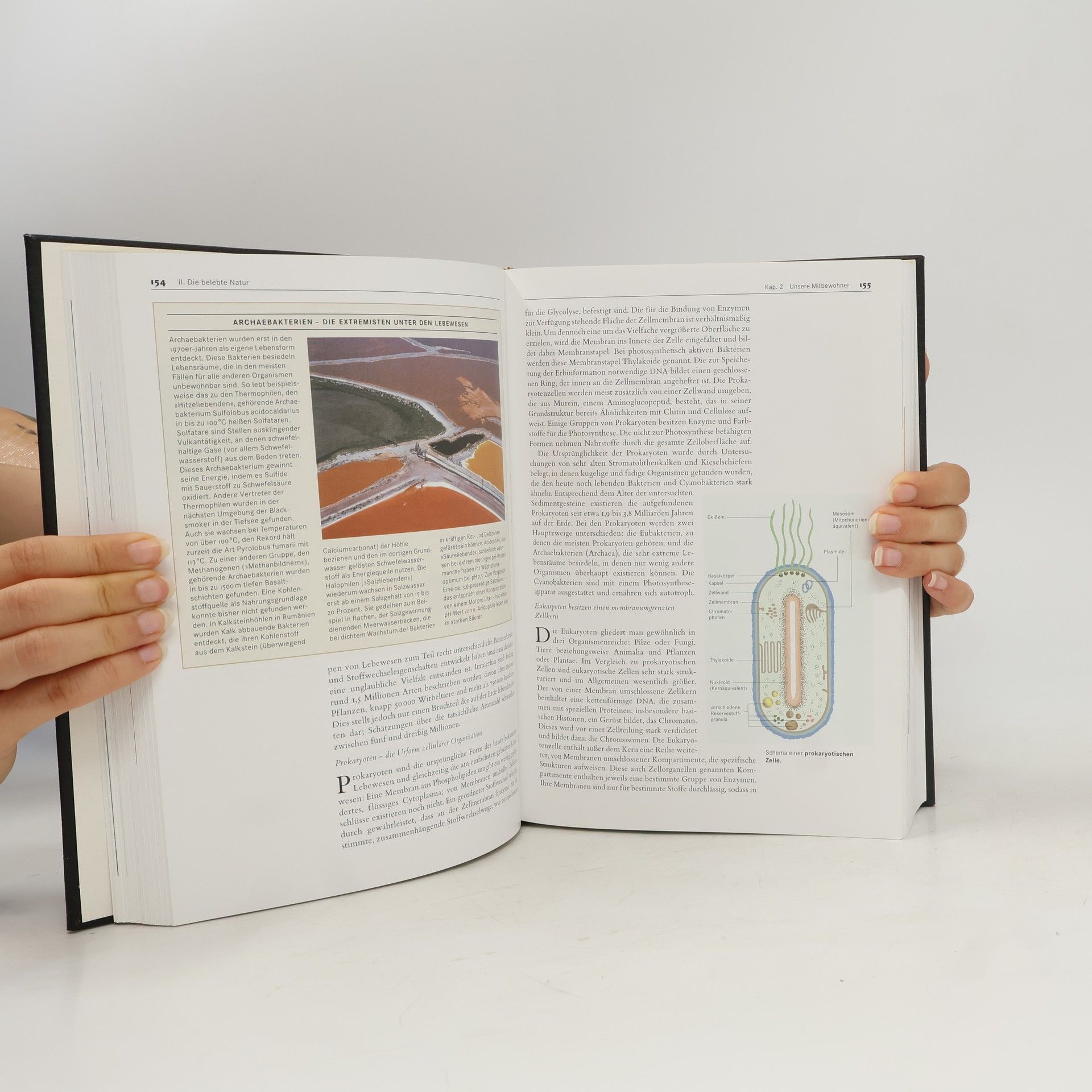 Stephan Ballenweg Brockhaus. Die Bibliothek. Mensch. Natur. Technik. Band 3