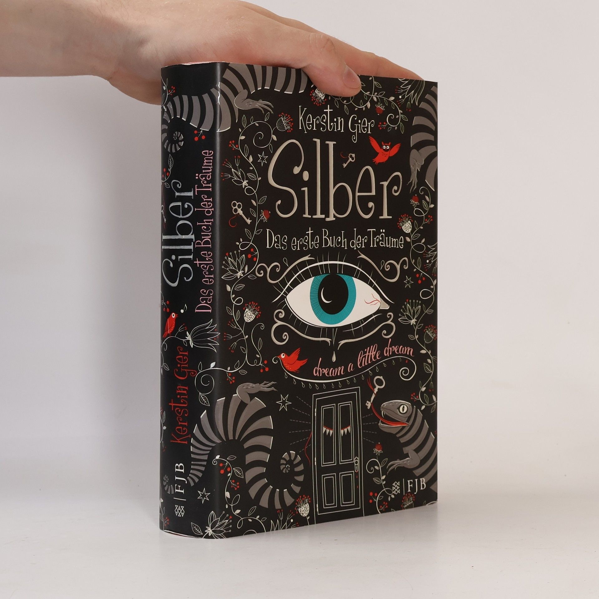 Kerstin Gier Silber. Das erste Buch der Träume