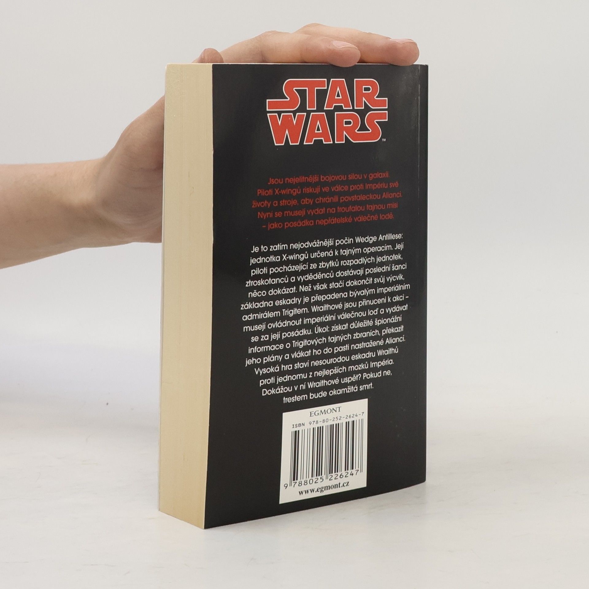 Aaron Allston Star Wars: X-Wing. Kniha pátá, Eskadra Wraith