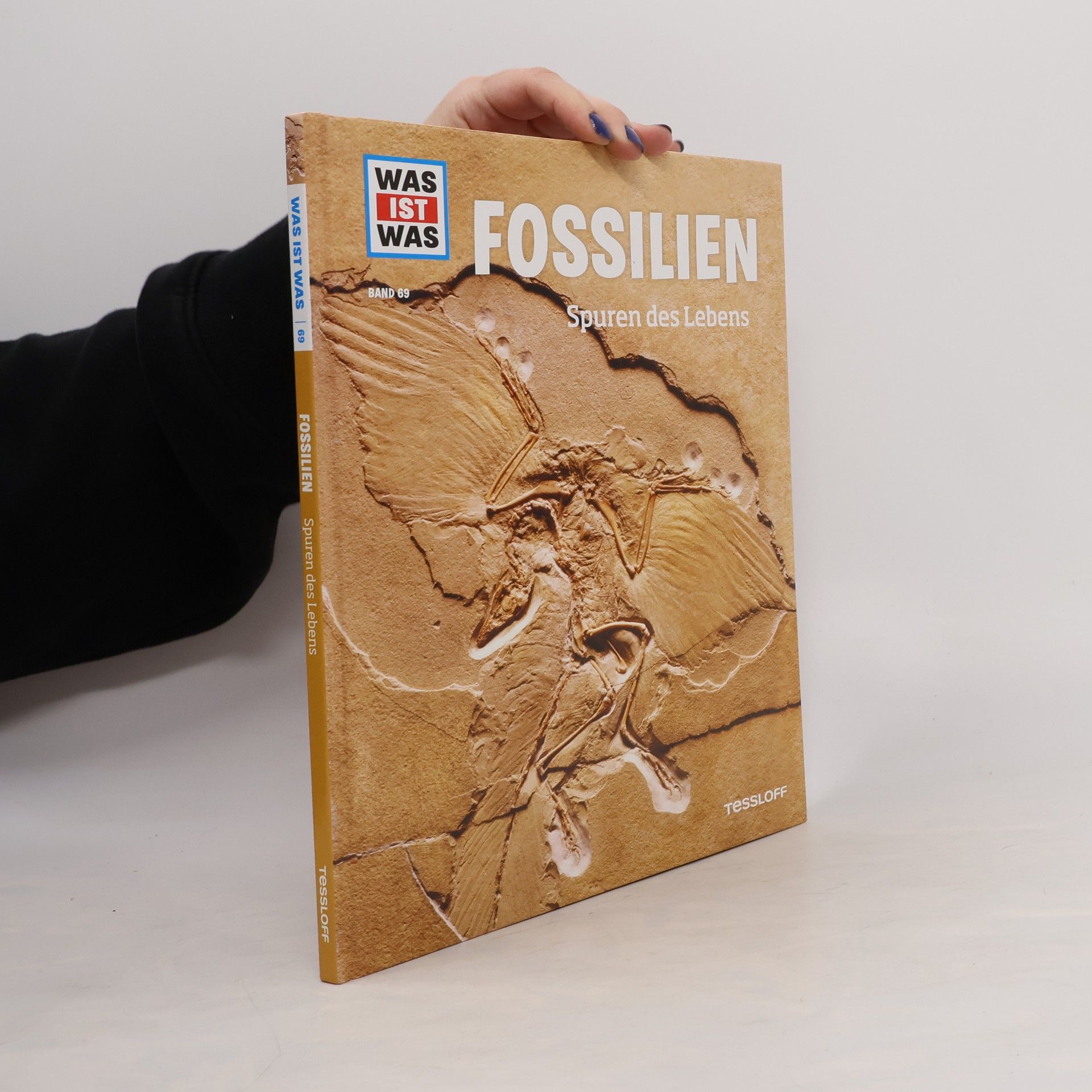 Manfred Baur Fossilien