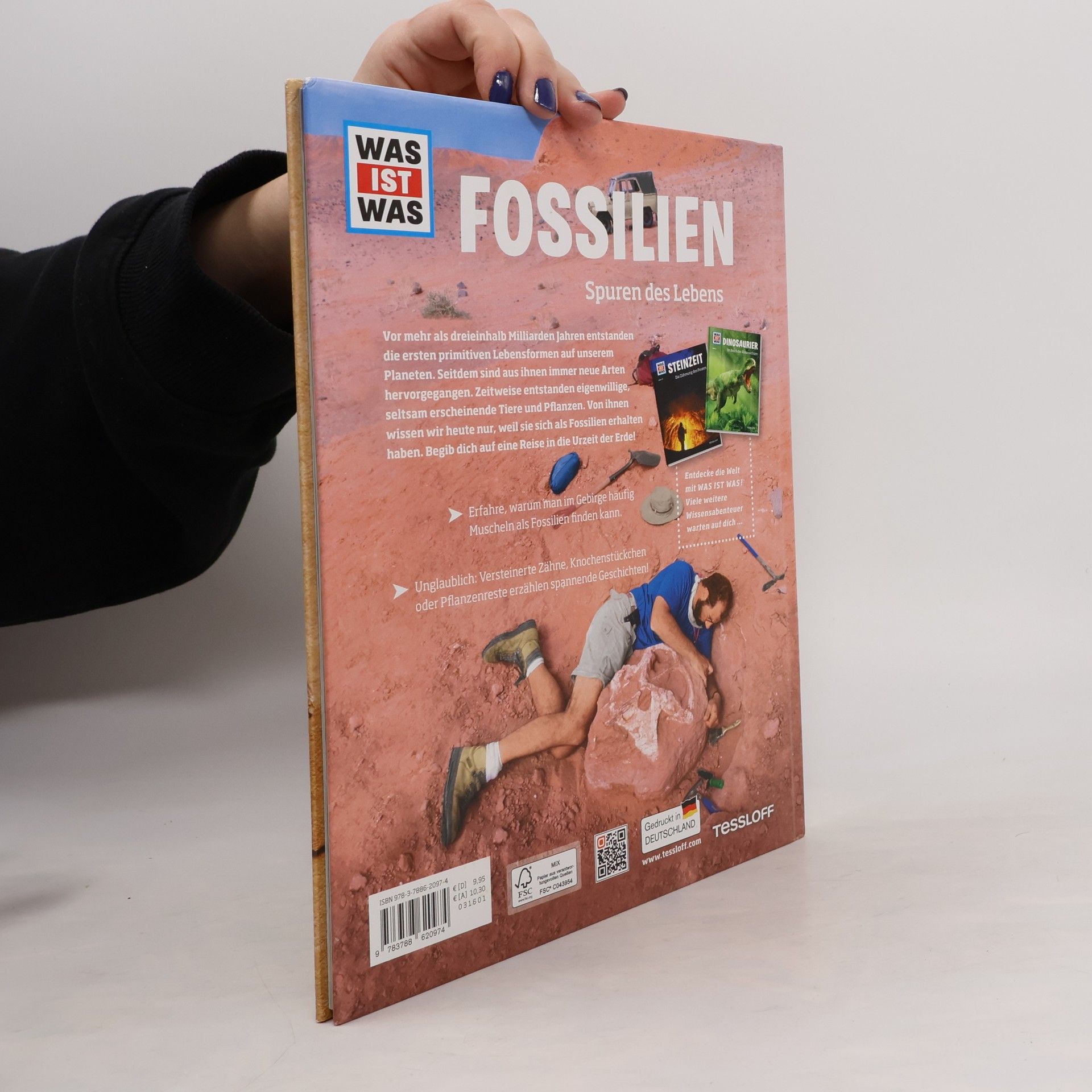 Manfred Baur Fossilien