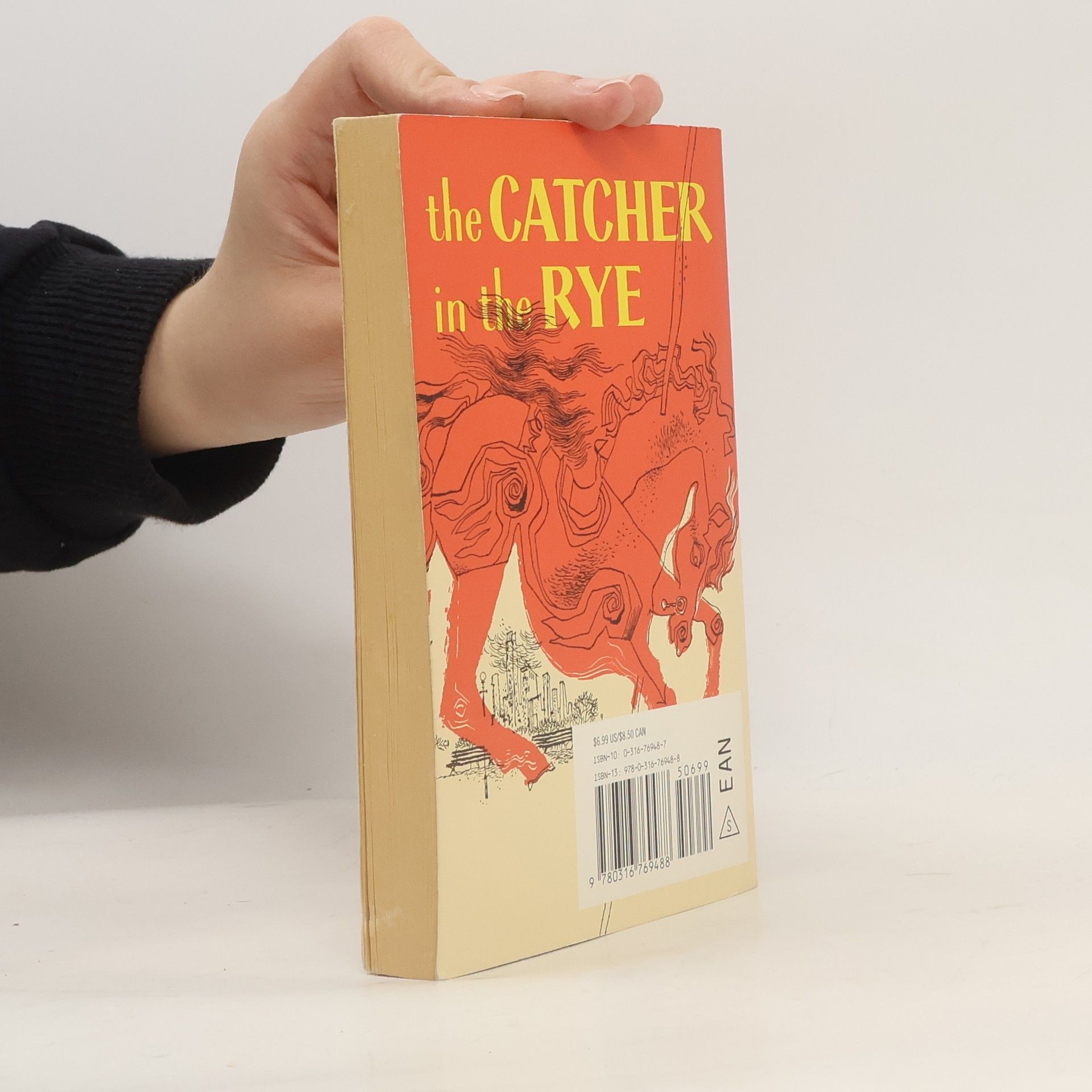 J. D. Salinger The catcher in the rye