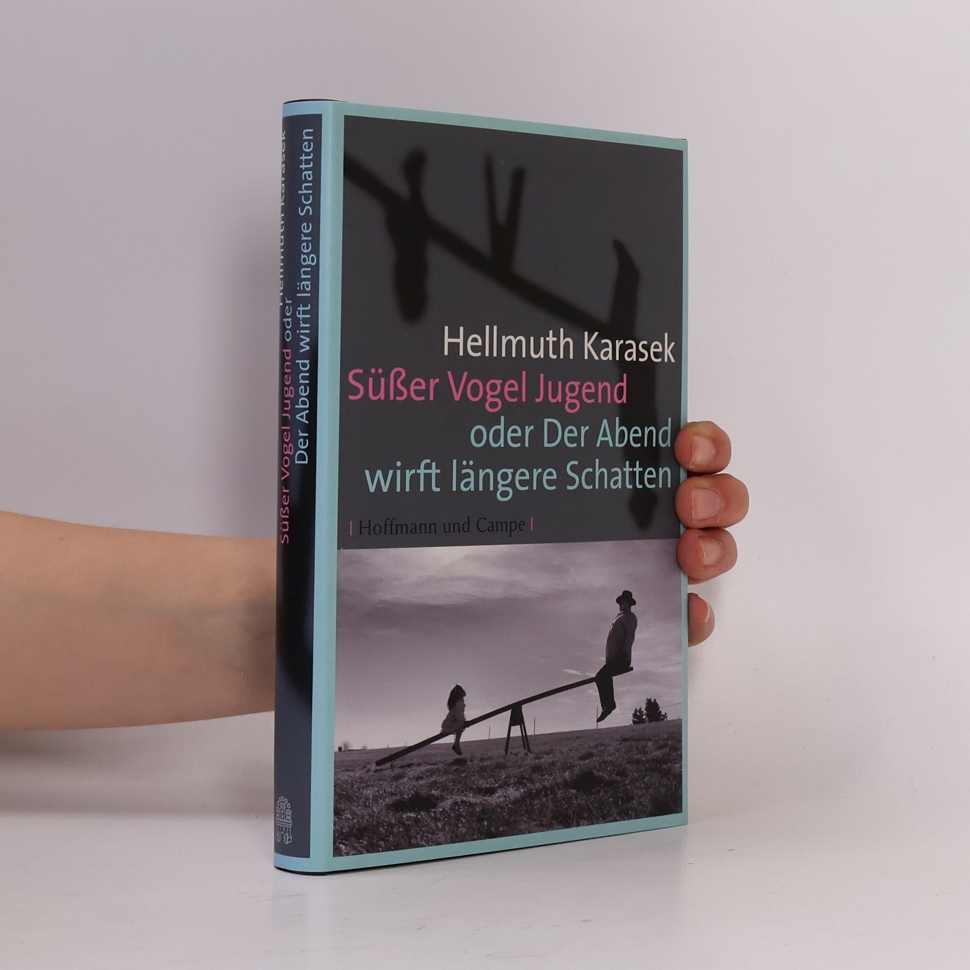 Hellmuth Karasek Süßer Vogel Jugend oder Der Abend wirft längere Schatten