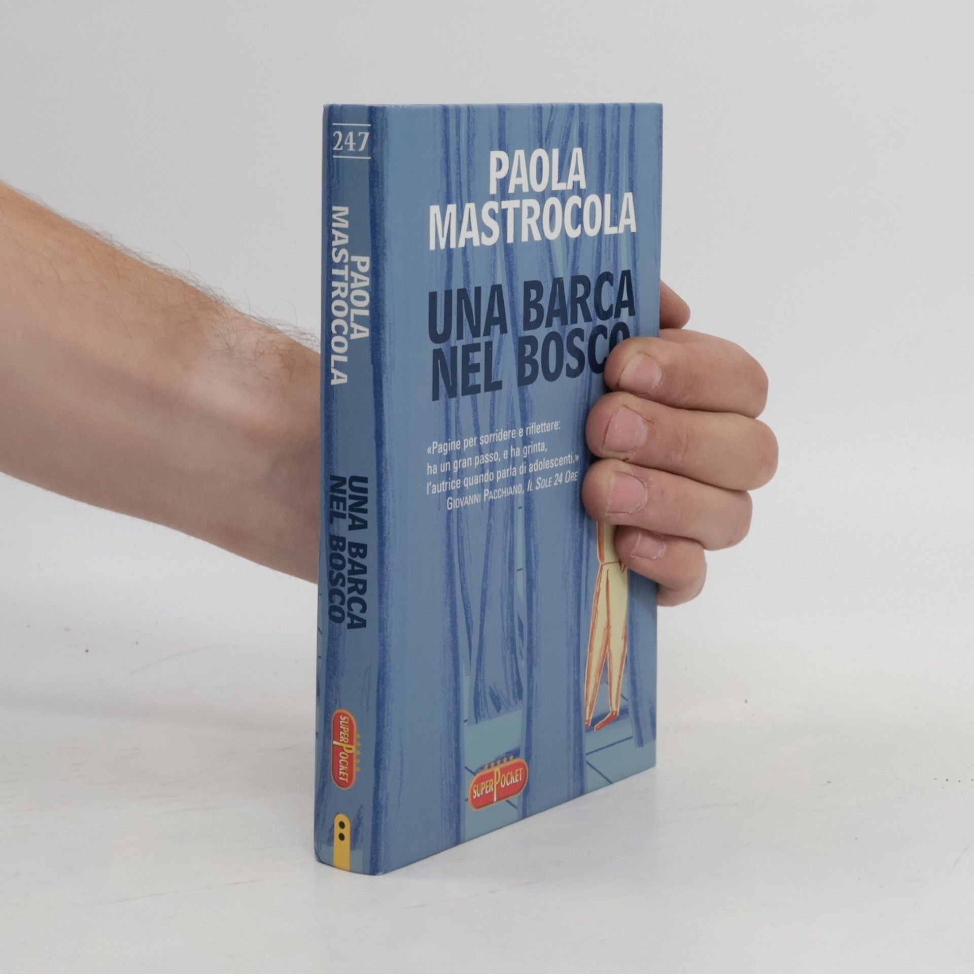 Una barca nel bosca