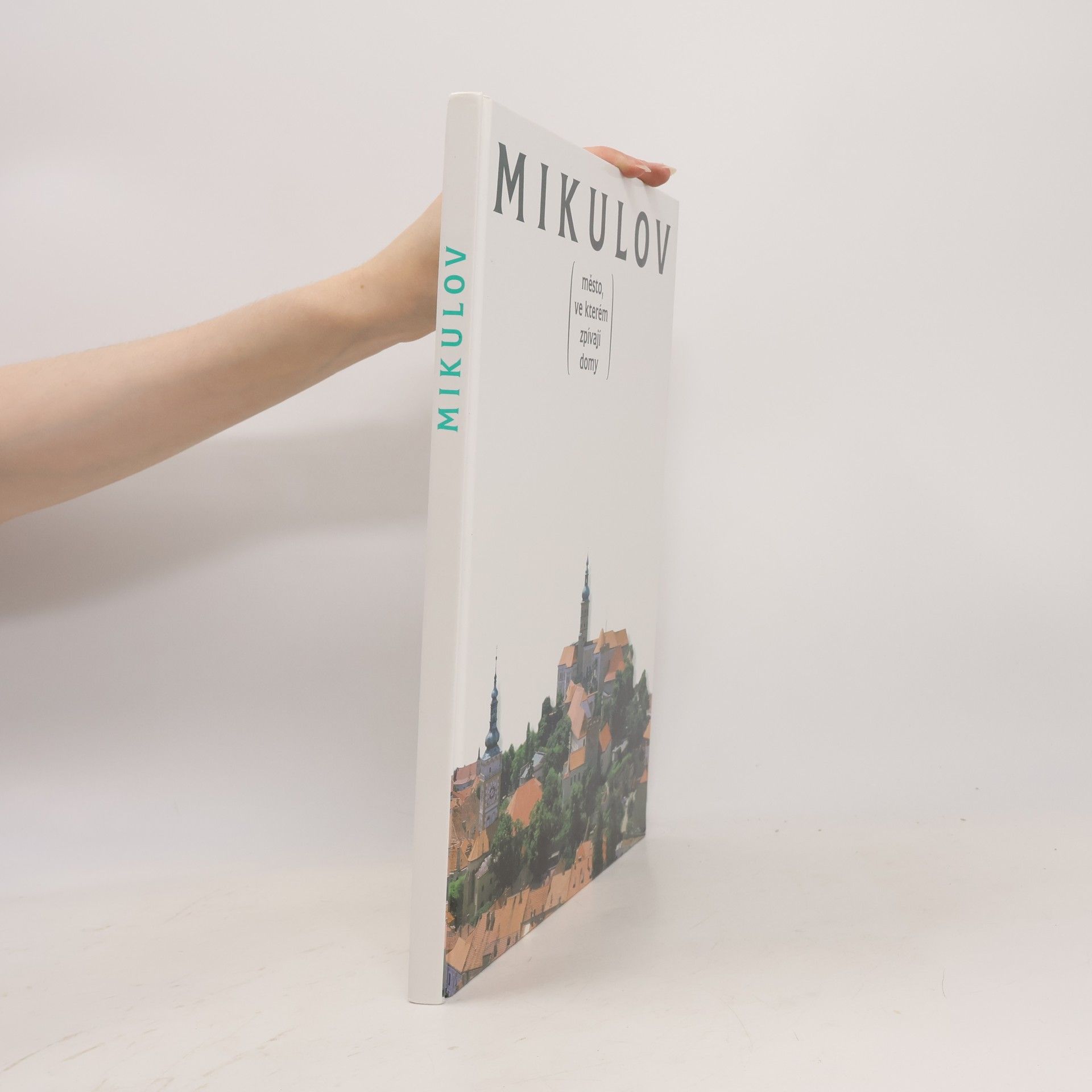 Collectif d'auteurs Mikulov. Město, ve kterém zpívají domy