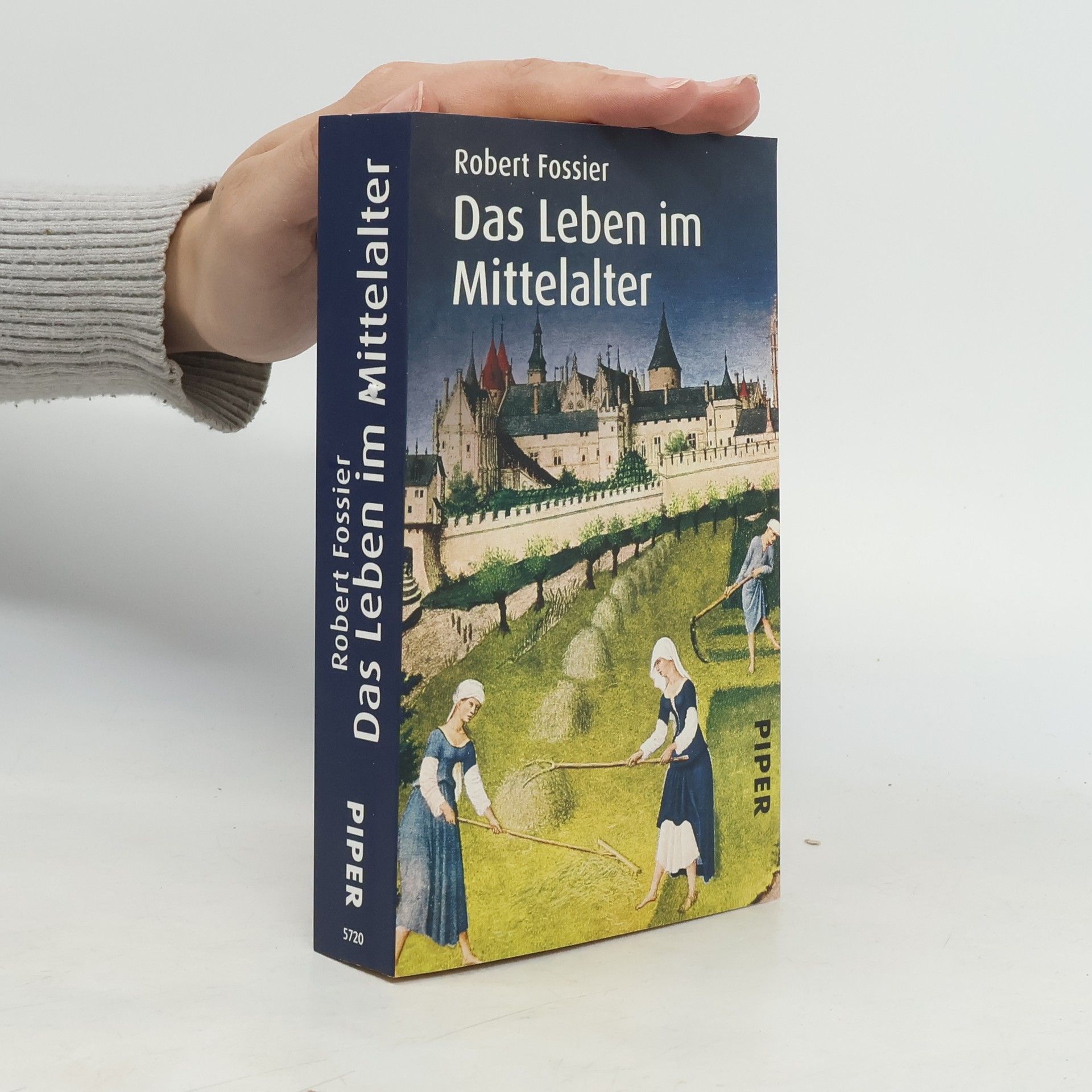 Das Leben im Mittelalter