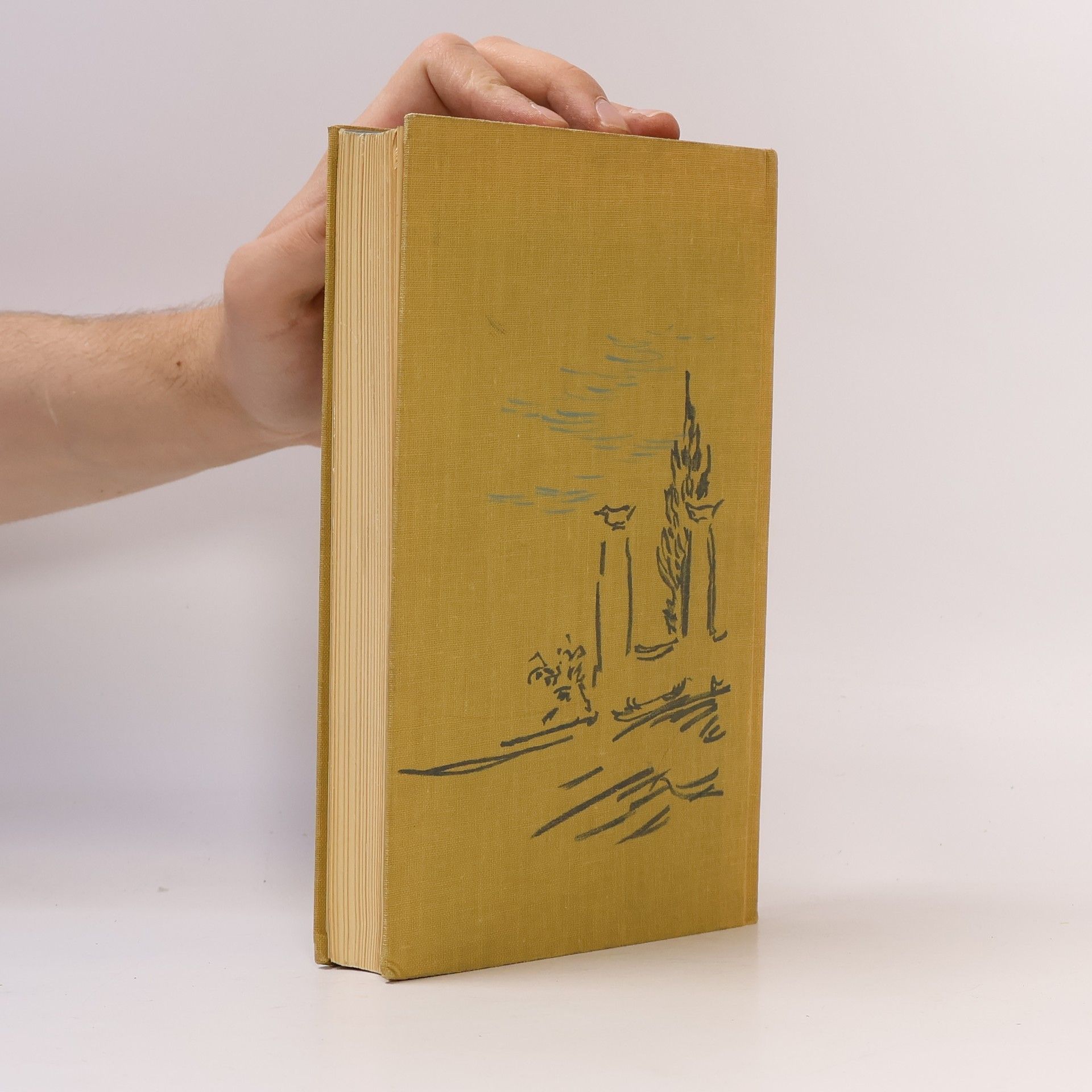 Axel Munthe Das Buch von San Michele