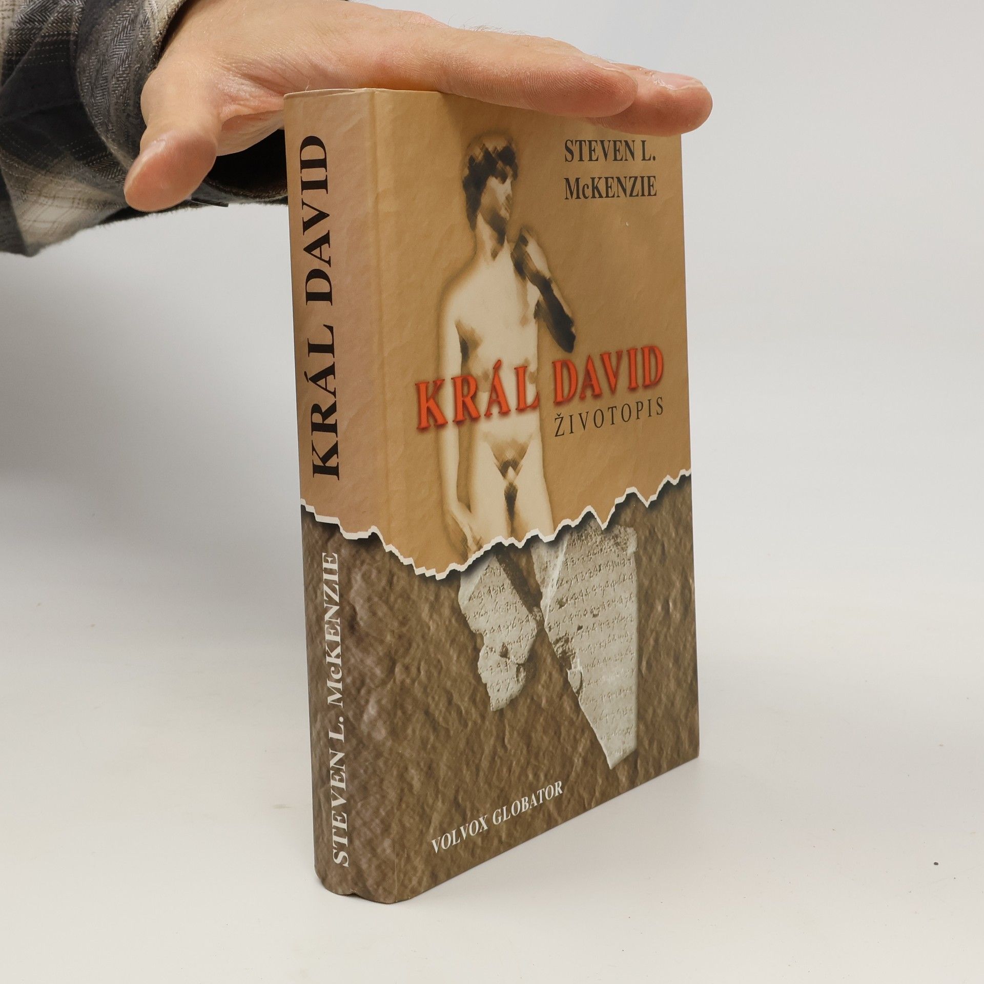 Steven L. McKenzie Král David : životopis
