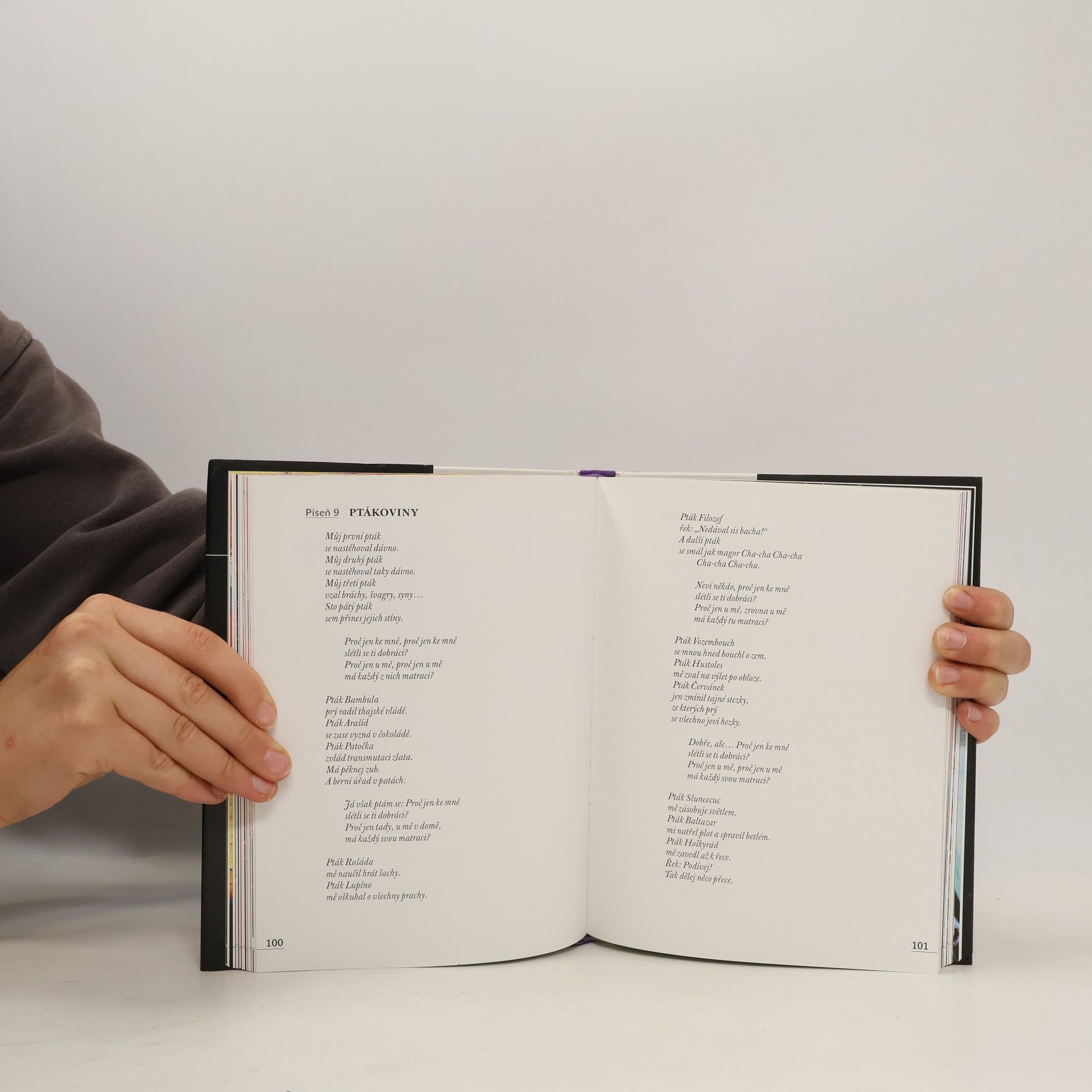 Michal Horáček Kudykam : písňový text o 2009 verších
