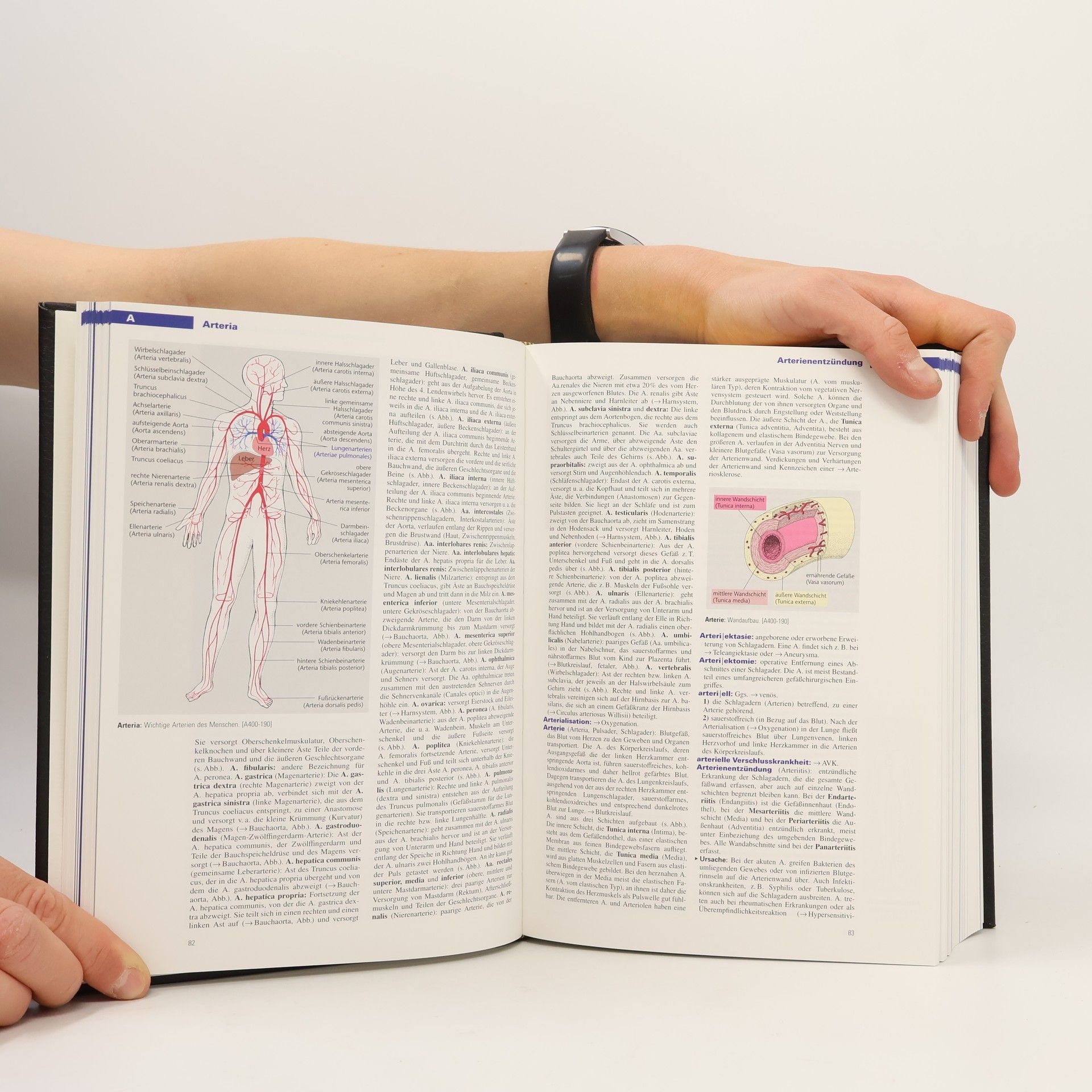 Autorenkollektiv Brockhaus - die Bibliothek : Gesundheit 1.