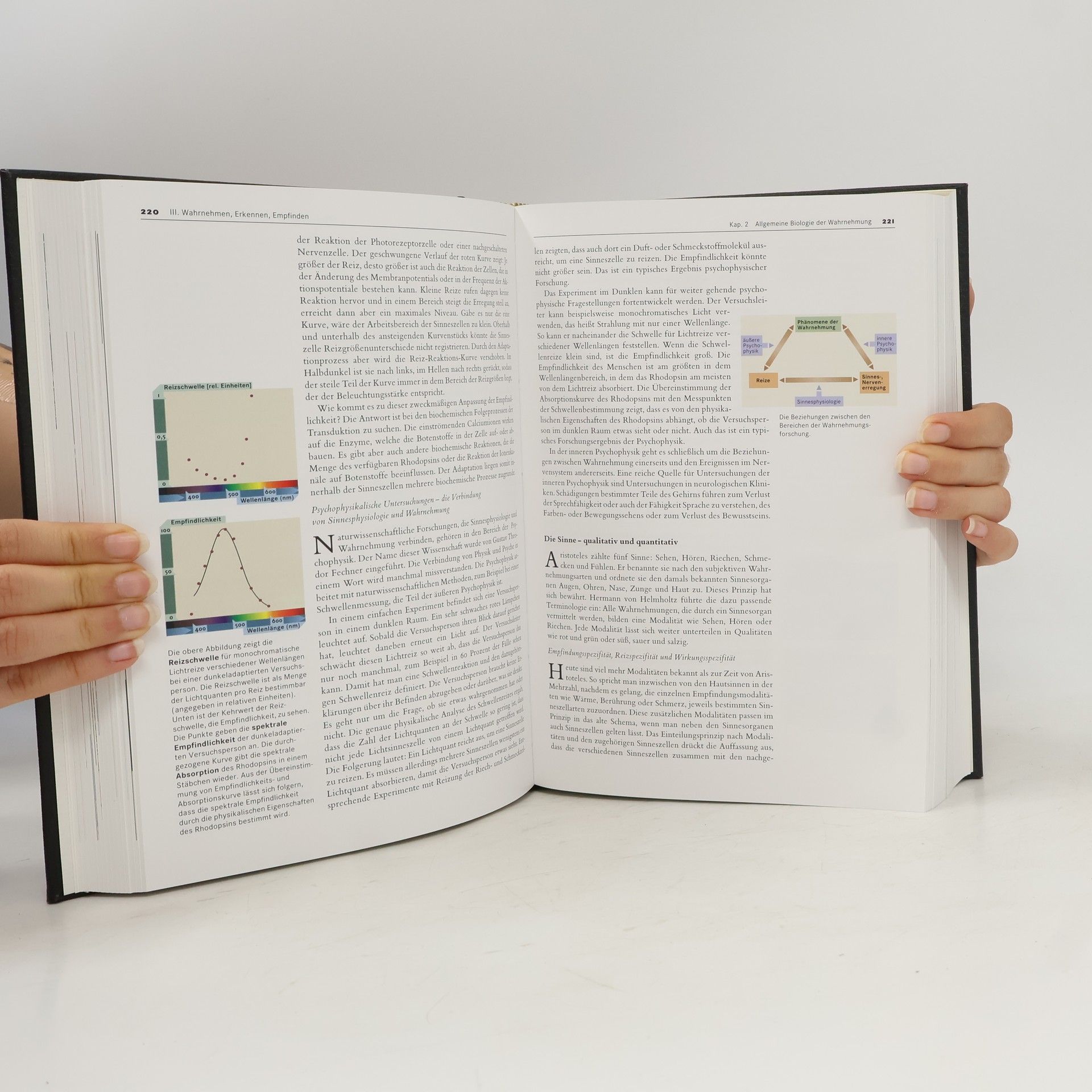 Dieter Geiß Brockhaus Die Bibliothek - 2: Der Mensch