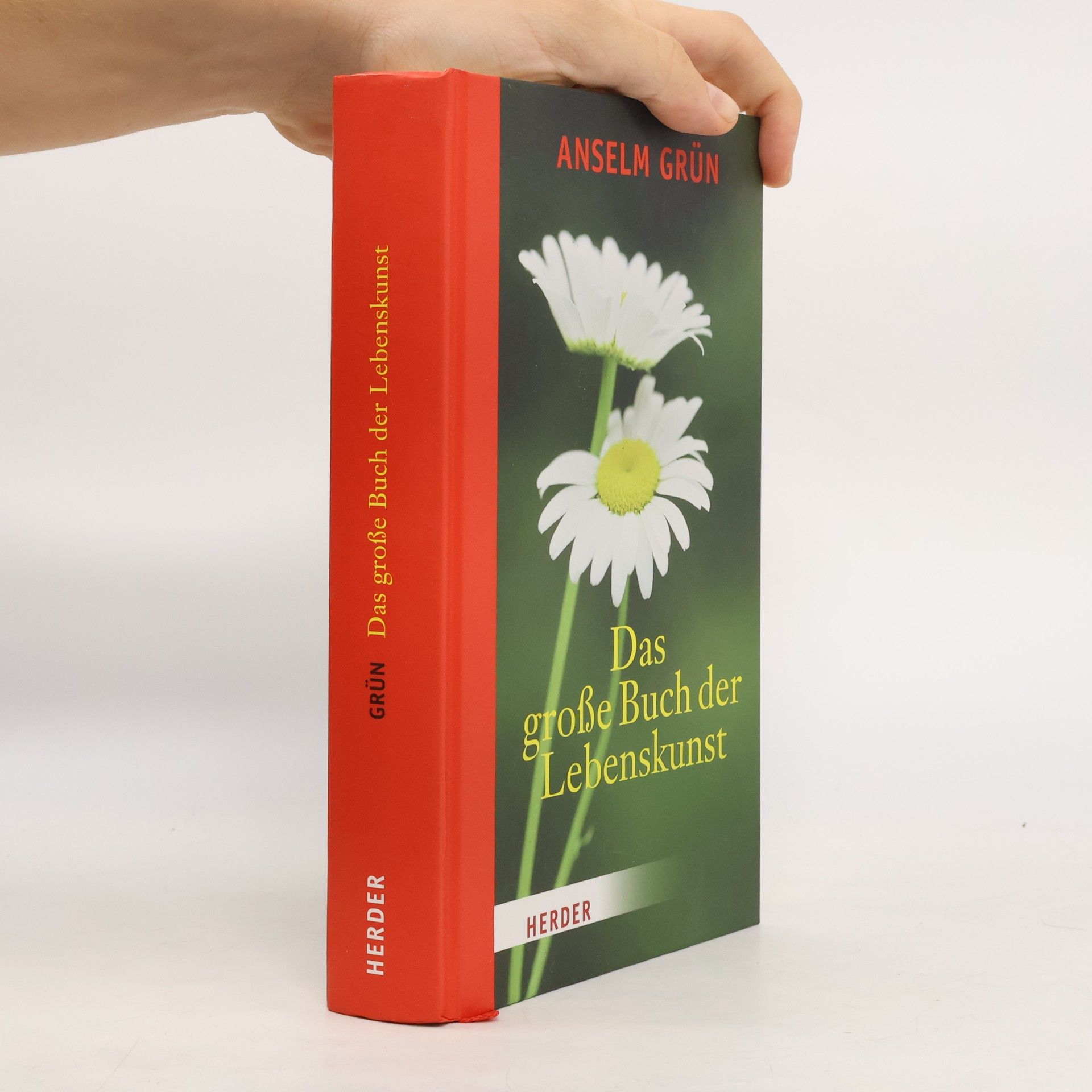 Anselm Grün Das große buch der lebenskunst