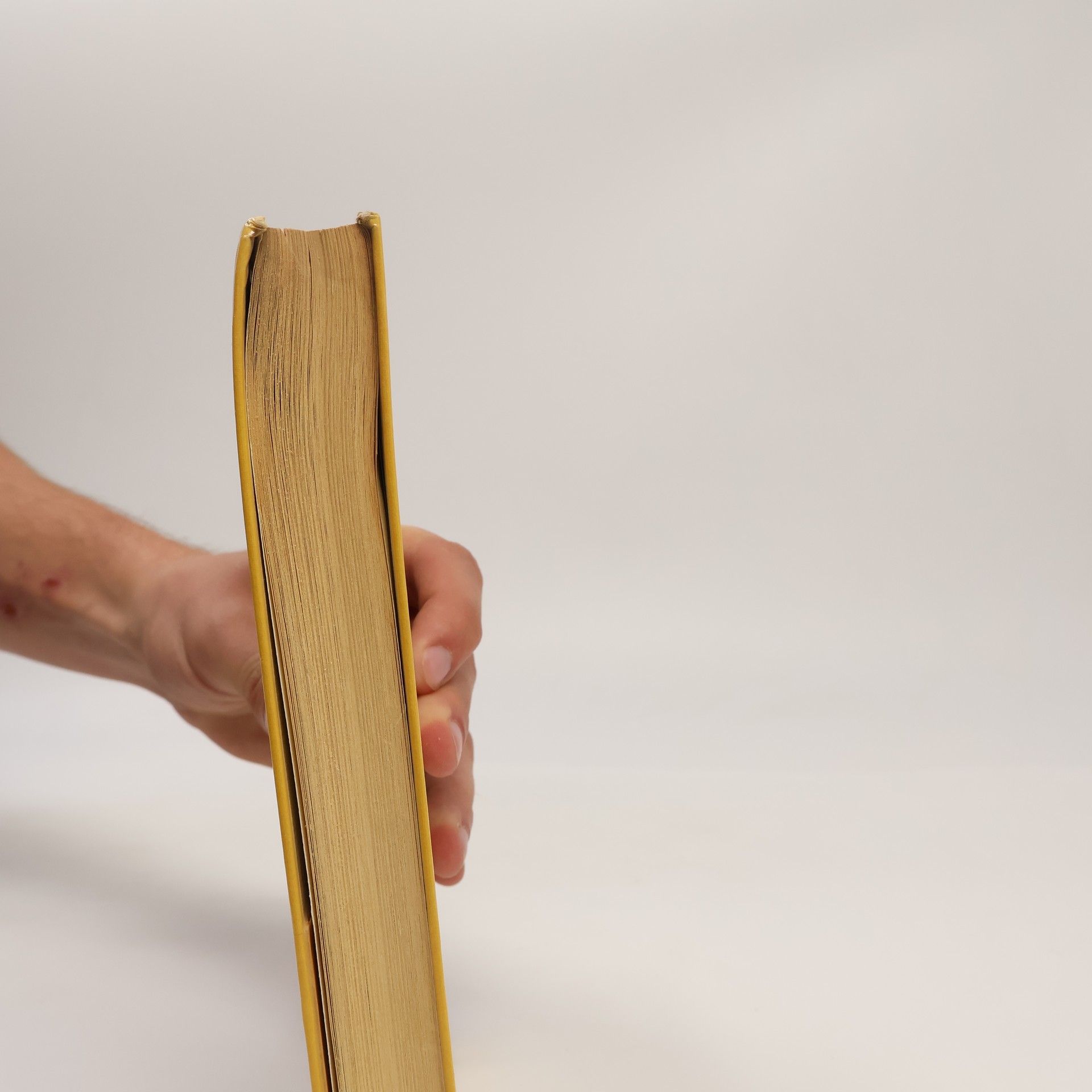 Erma Bombeck Mäuse im Klavier und andere liebe Gäste