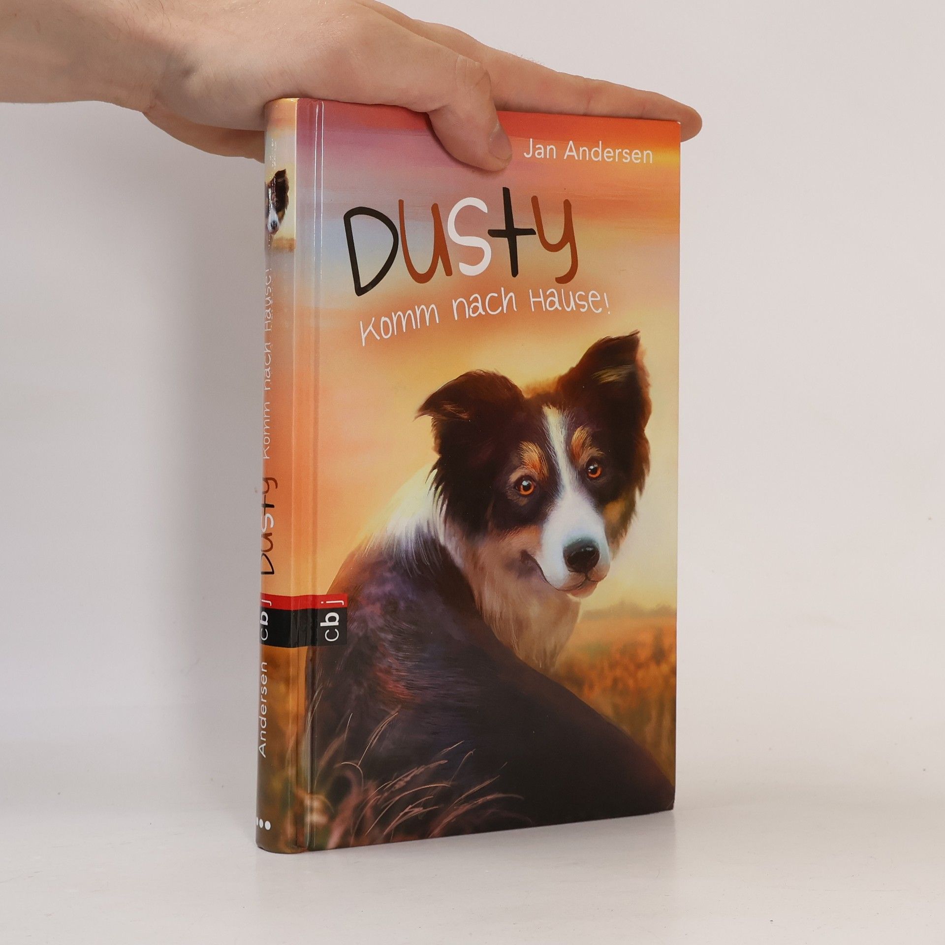 Wolfram Hänel Dusty - komm nach Hause!