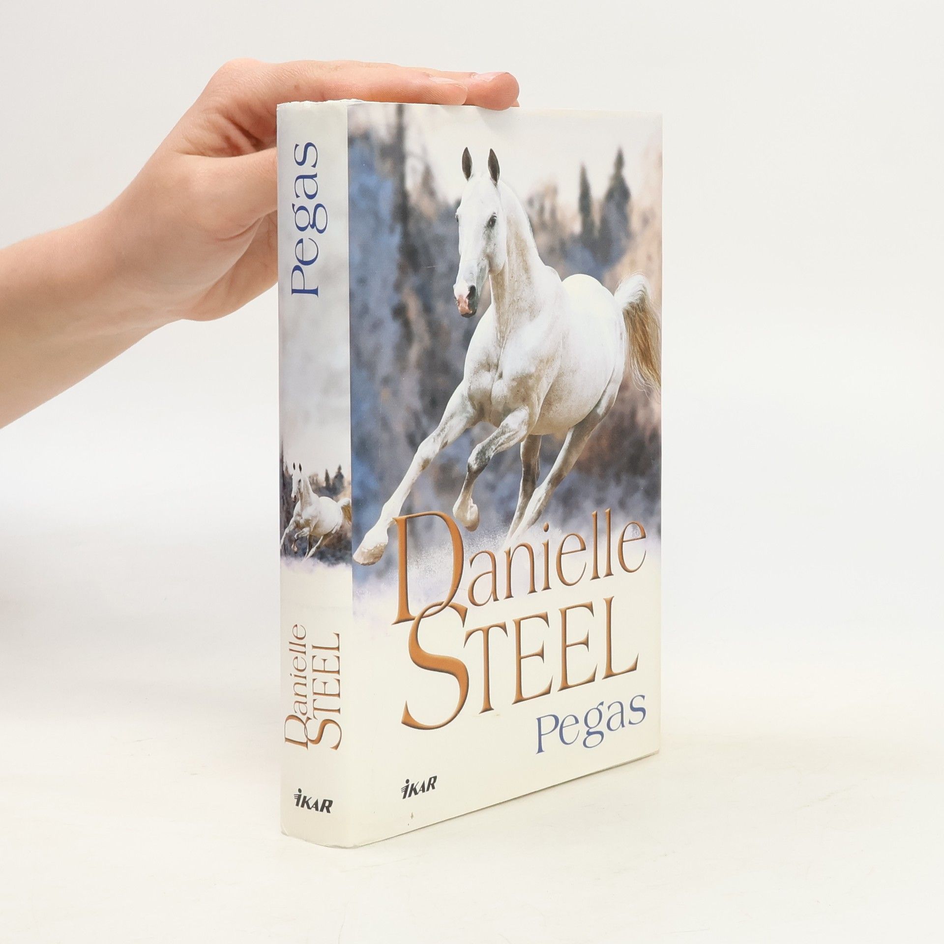 Danielle Steel Pegas