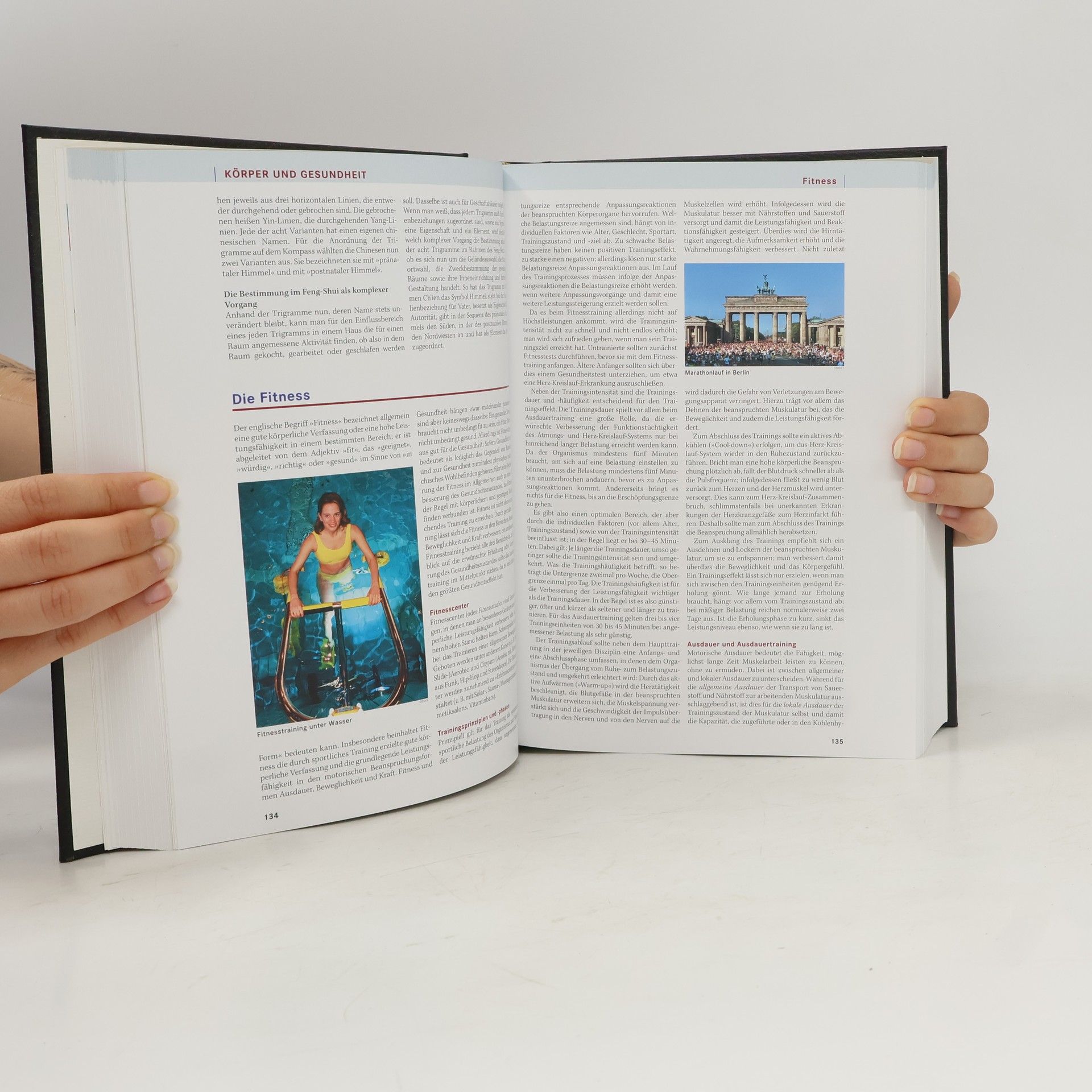 Autorenkollektiv Brockhaus. Welt des Wissens 6