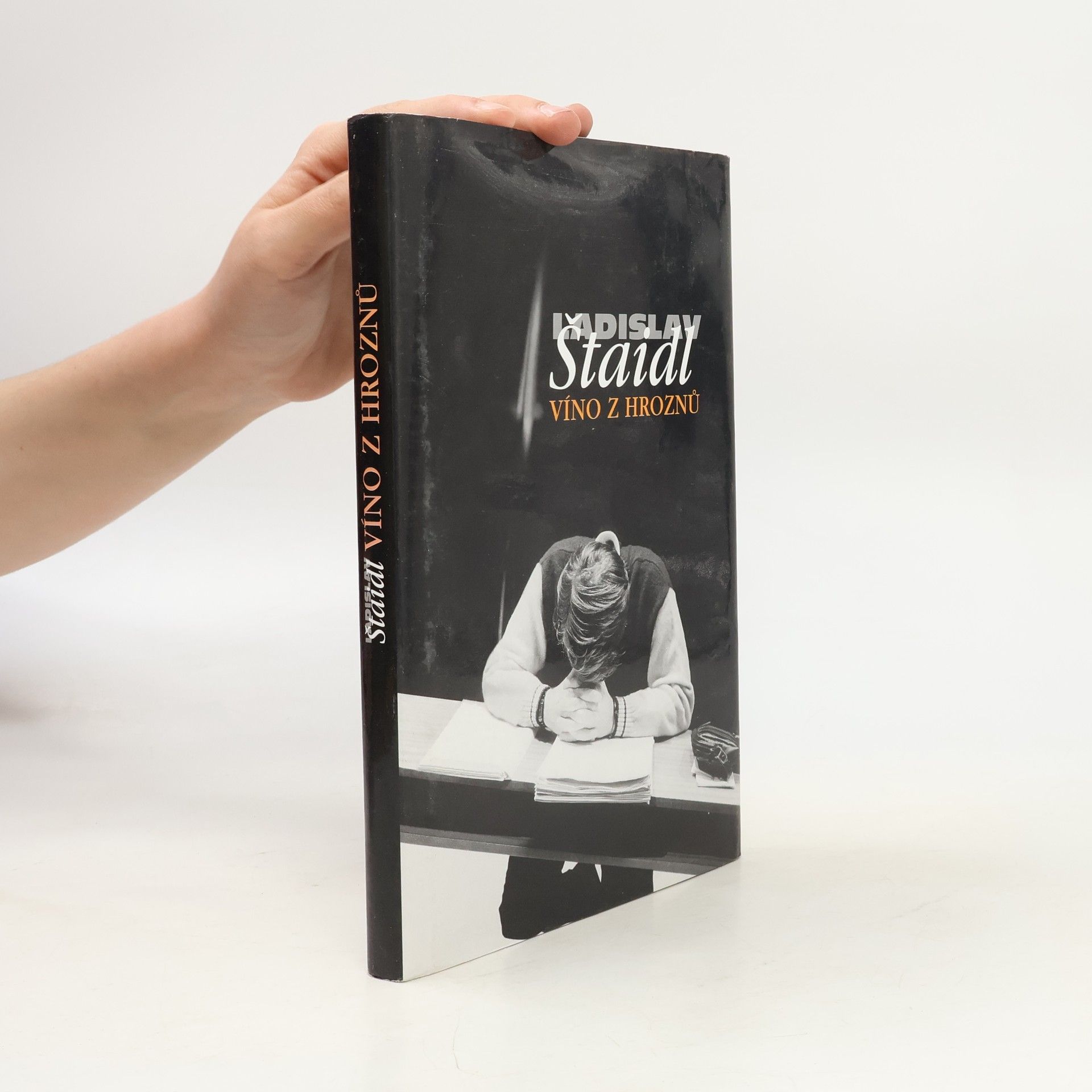 Ladislav Štaidl Víno z hroznů
