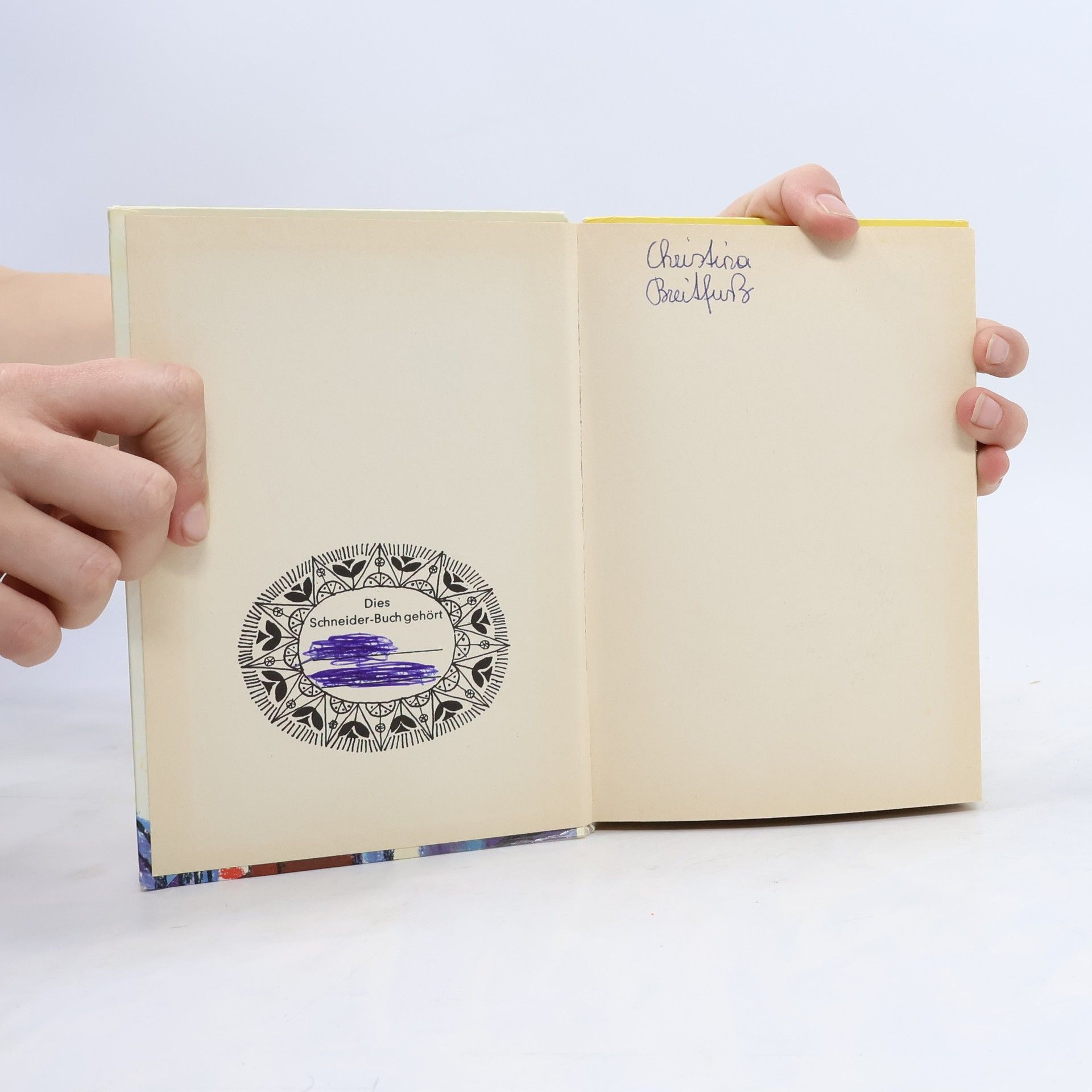 Enid Blyton Hanni und Nanni schmieden neue Pläne