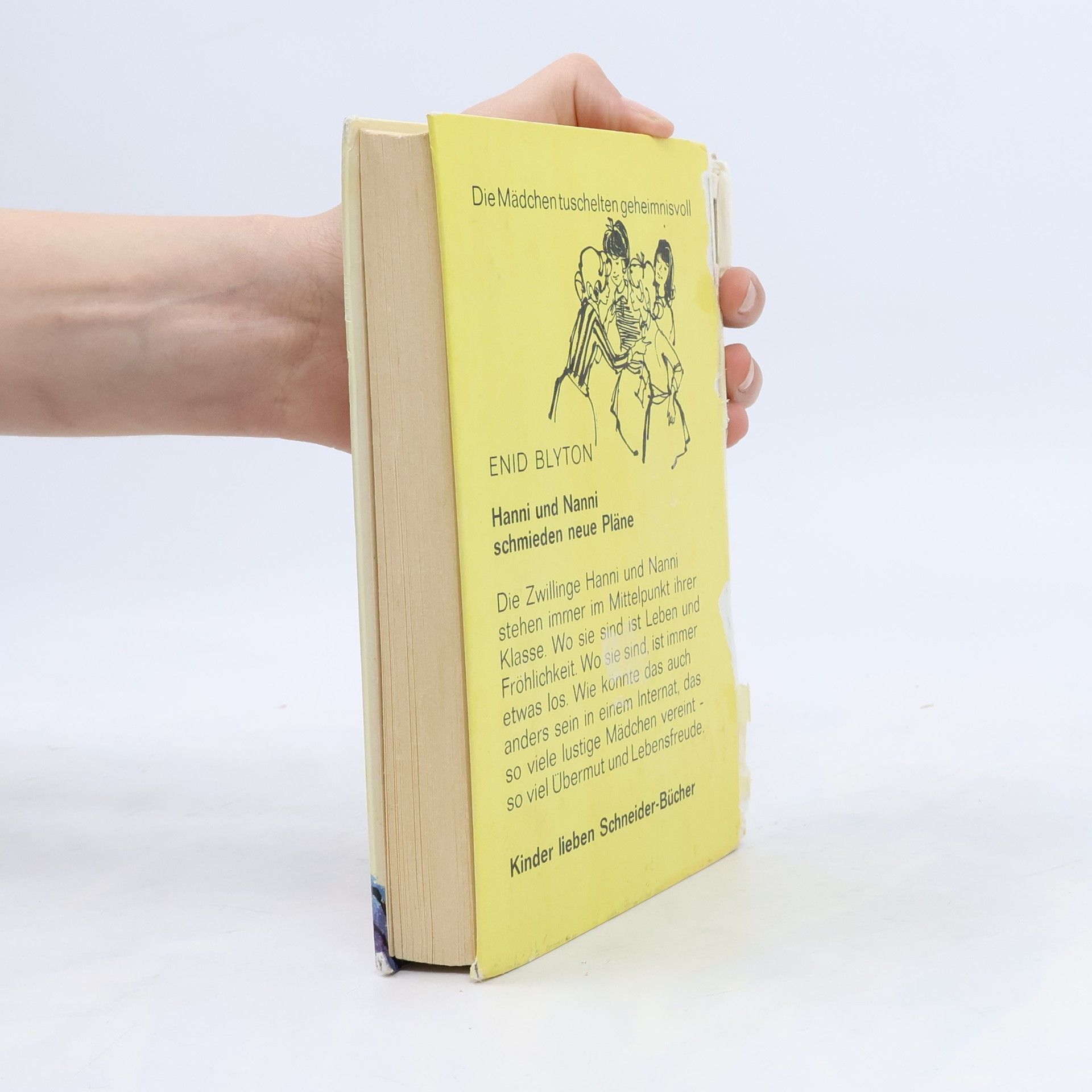 Enid Blyton Hanni und Nanni schmieden neue Pläne