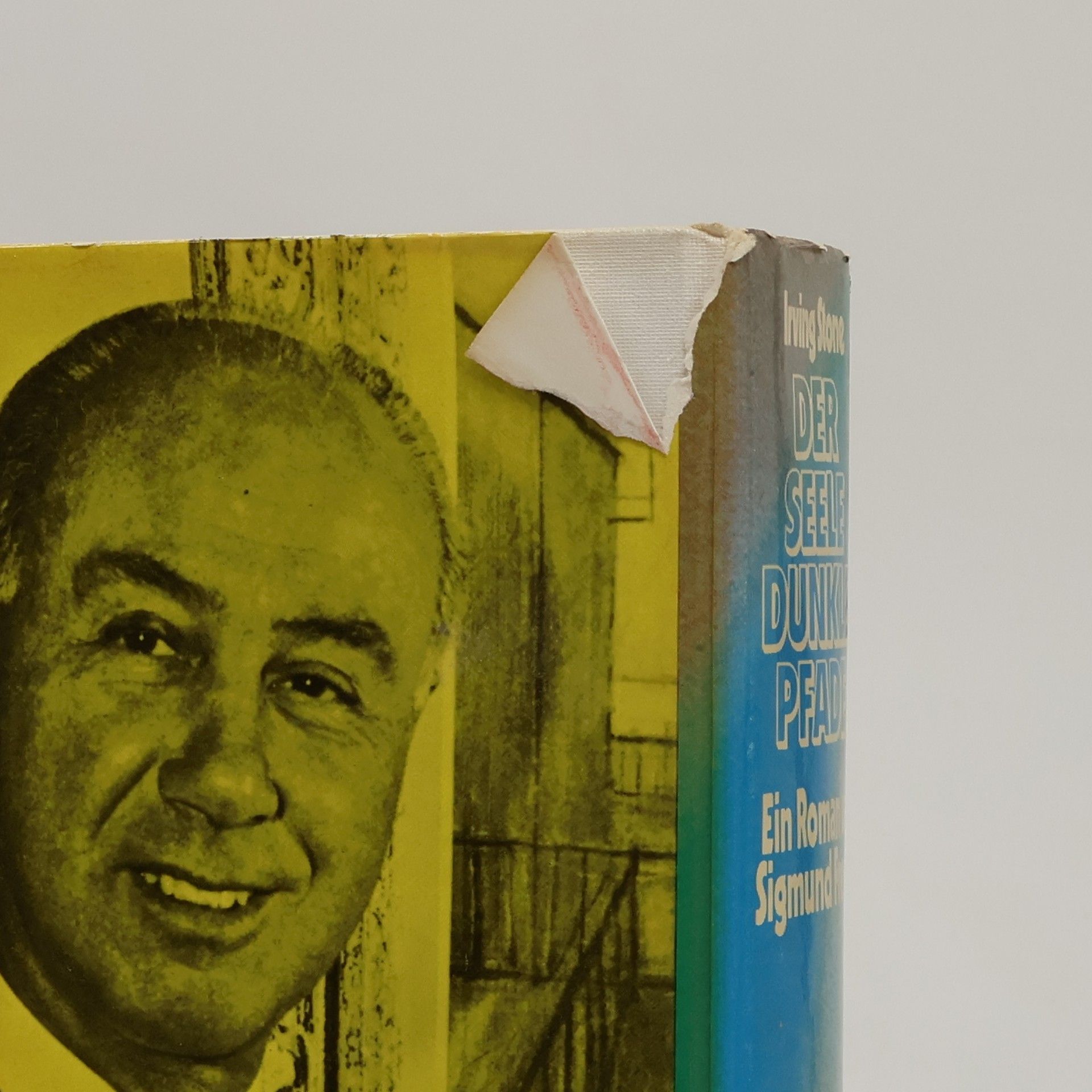 Irving Stone Der Seele dunkle Pfade