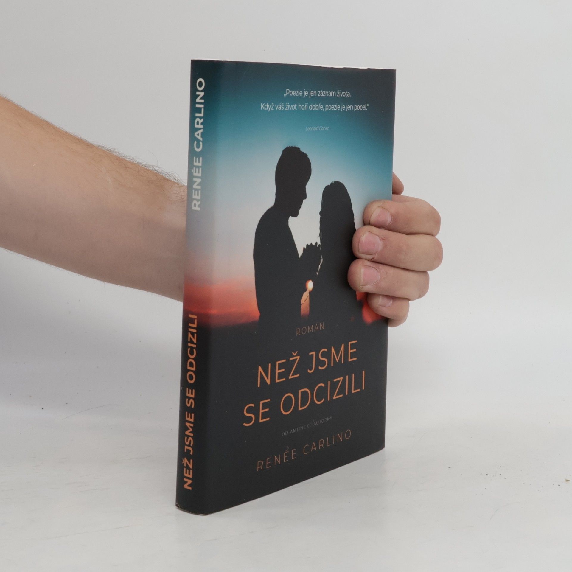 Renée Carlino Než jsme se odcizili