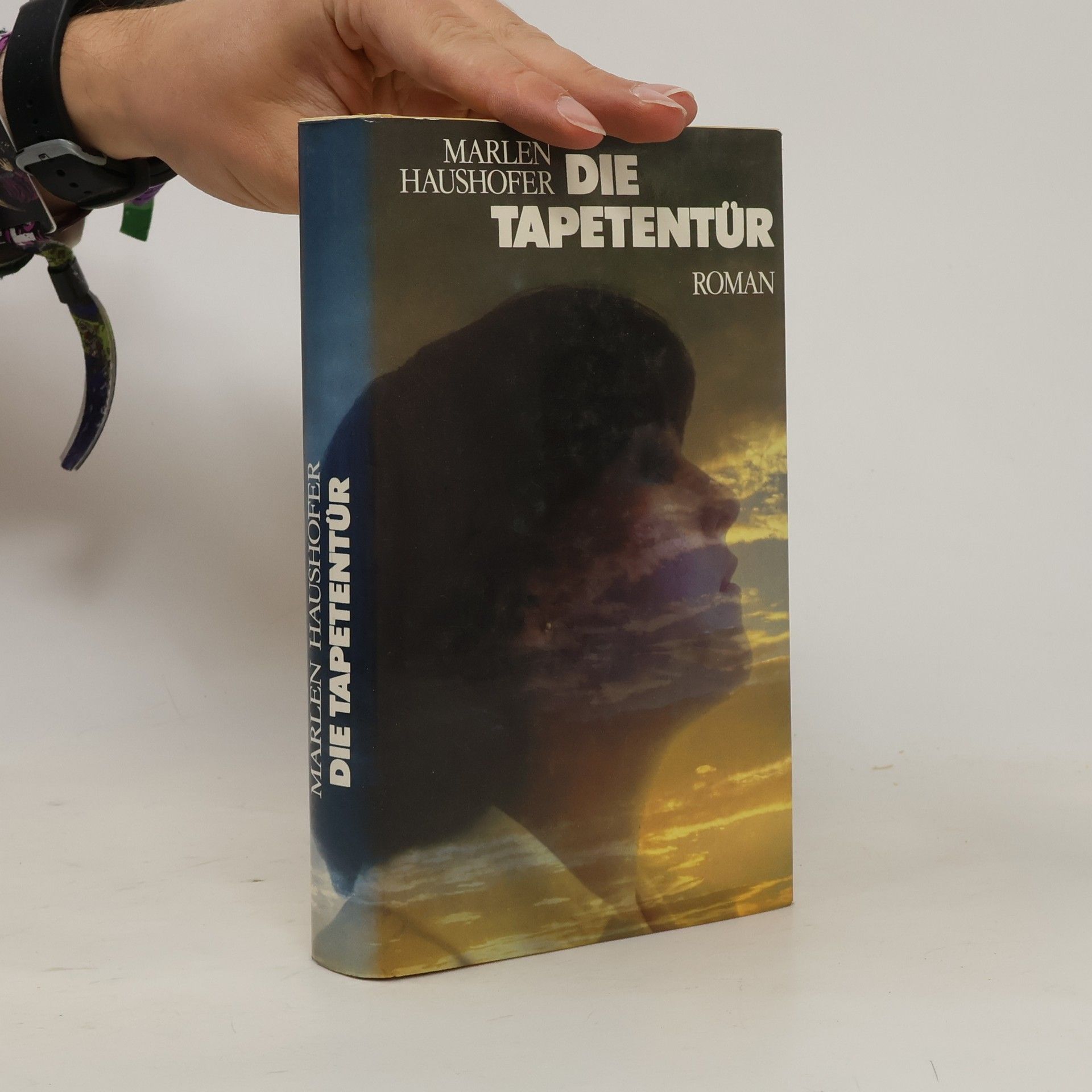 Marlen Haushofer Die Tapetentür