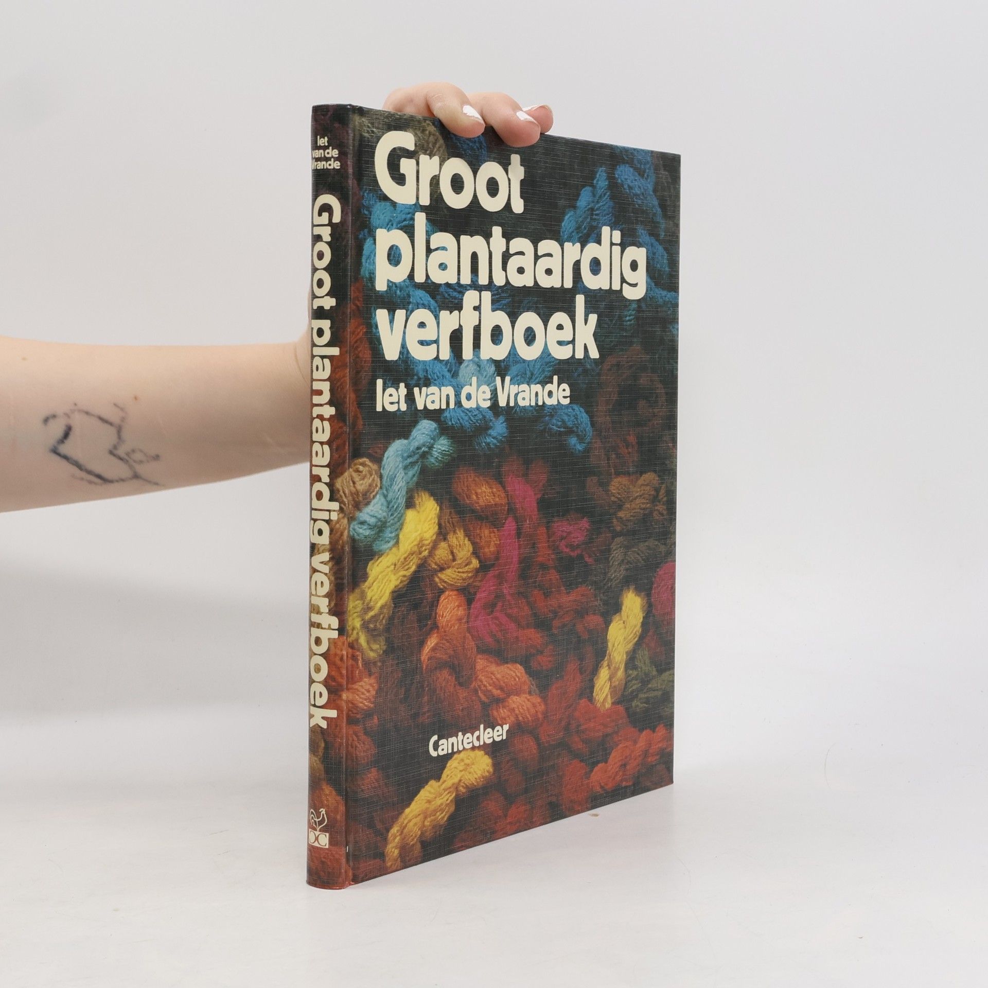Iet van de Vrande Groot plantaardig verfboek