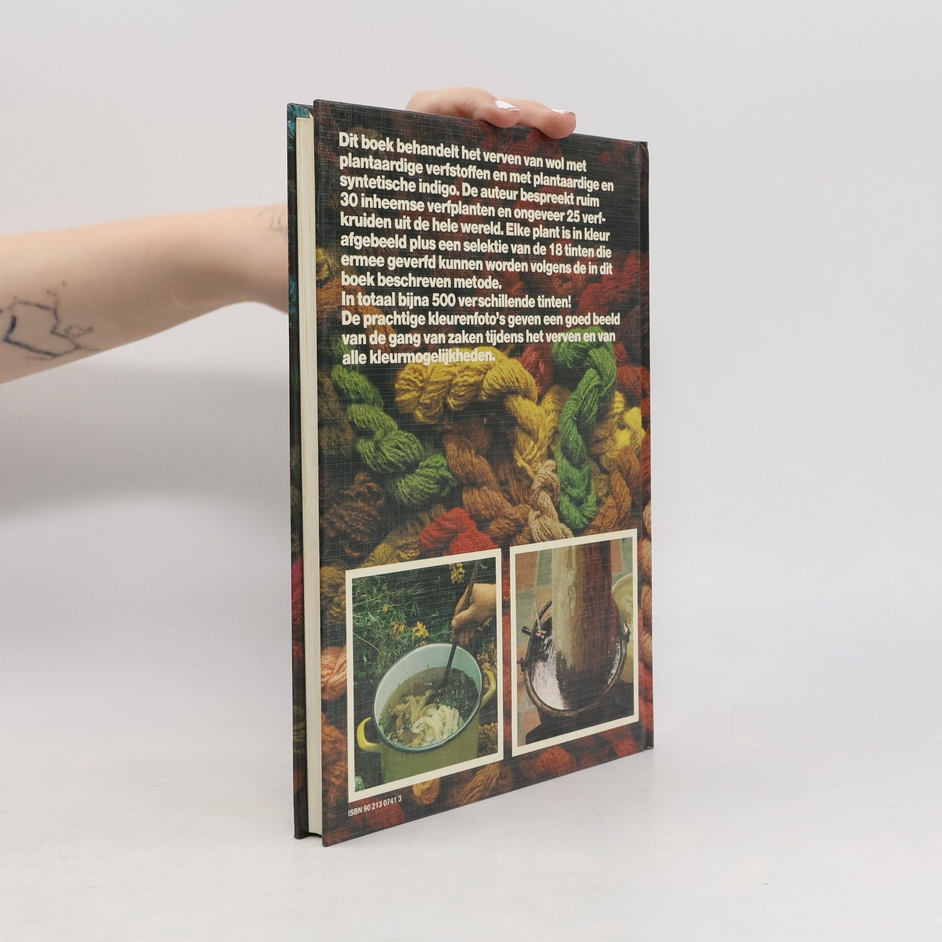 Iet van de Vrande Groot plantaardig verfboek