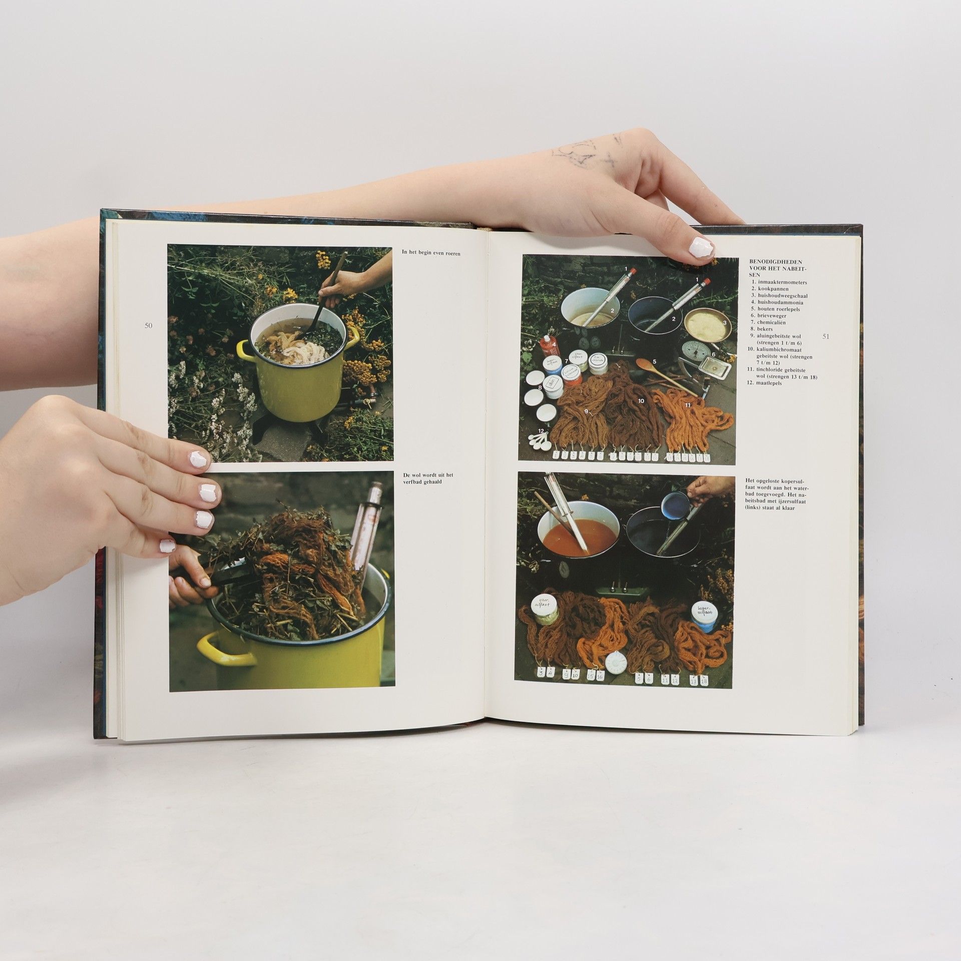 Iet van de Vrande Groot plantaardig verfboek