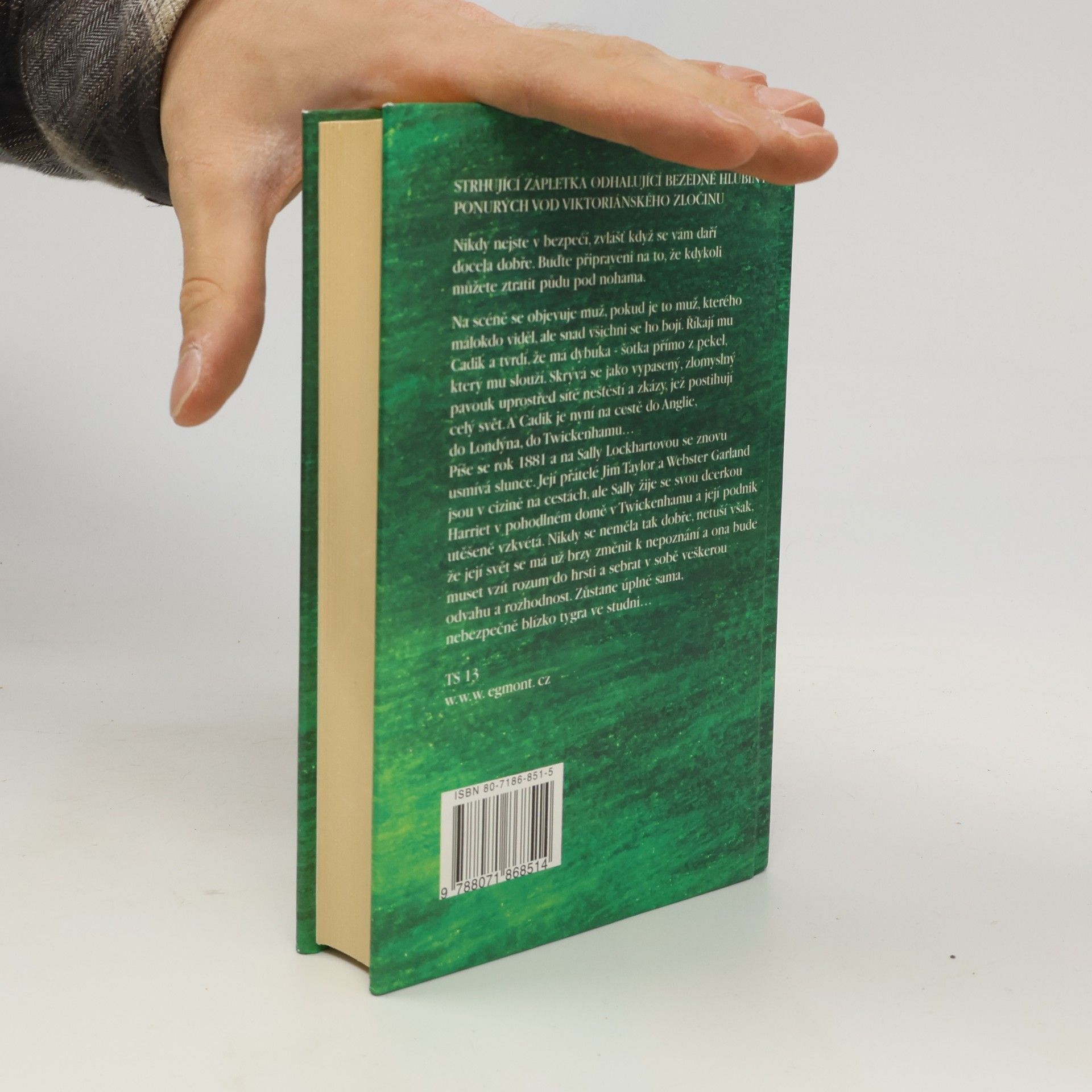 Philip Pullman Tygr ve studni