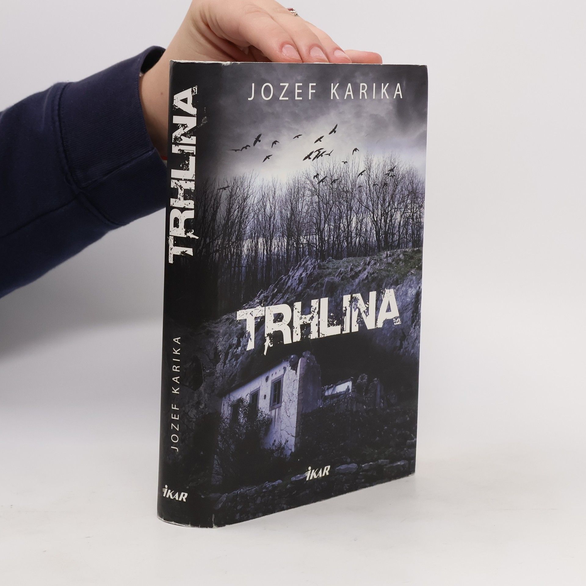 Jozef Karika Trhlina