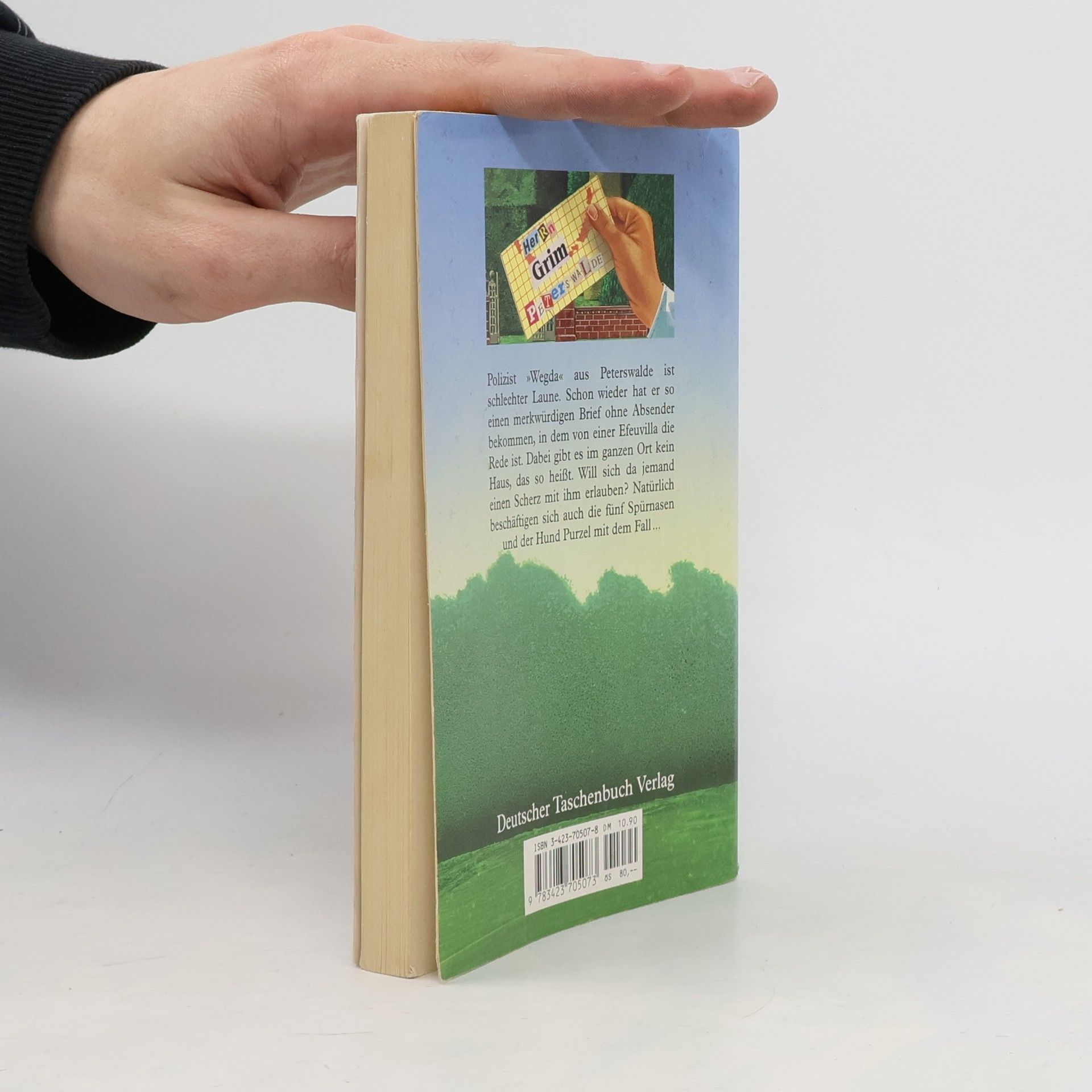 Enid Blyton Geheimnis um eine Efeuvilla