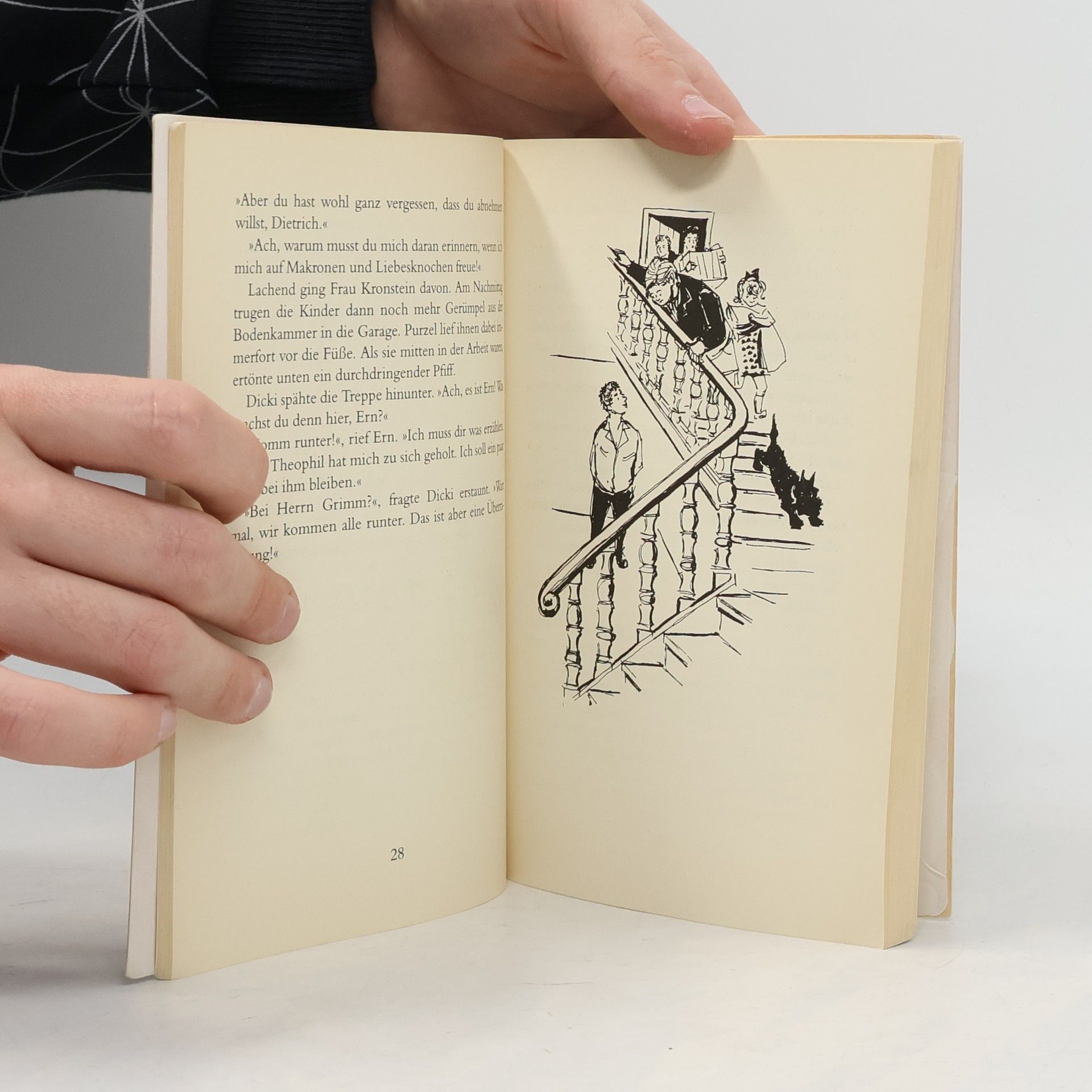 Enid Blyton Geheimnis um eine Efeuvilla