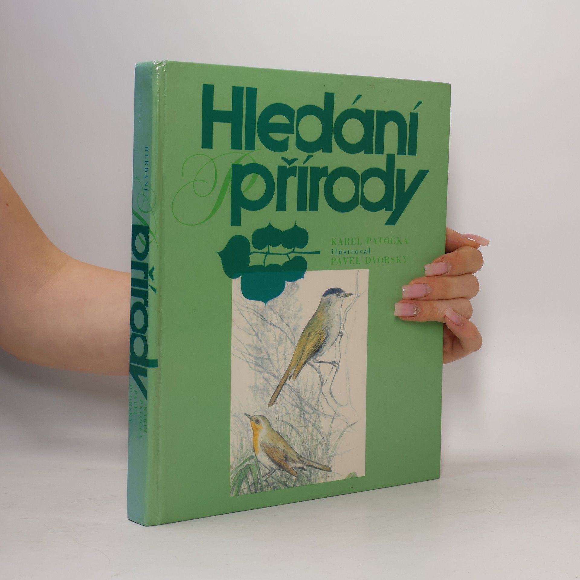 Karel Patočka Hledání přírody