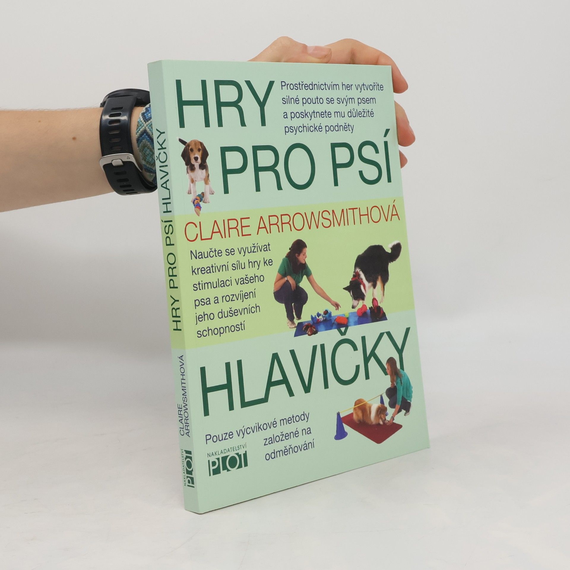 Hry pro psí hlavičky