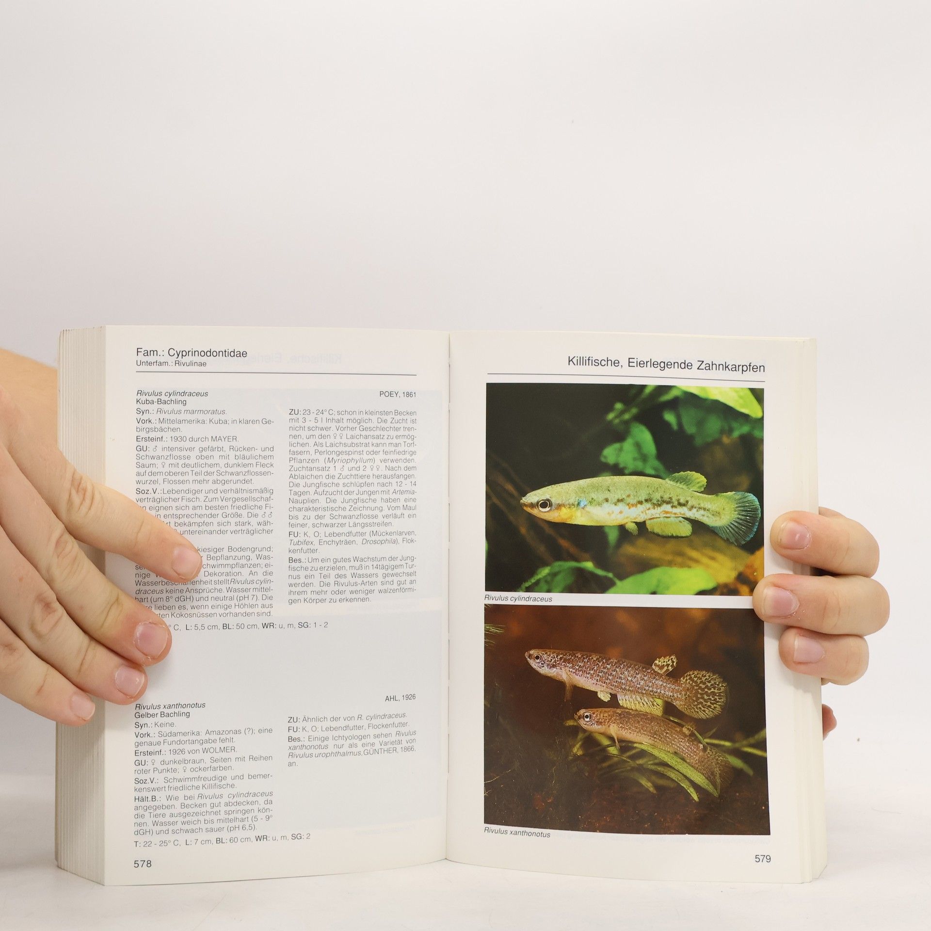 Rüdiger Riehl Aquarien-Atlas