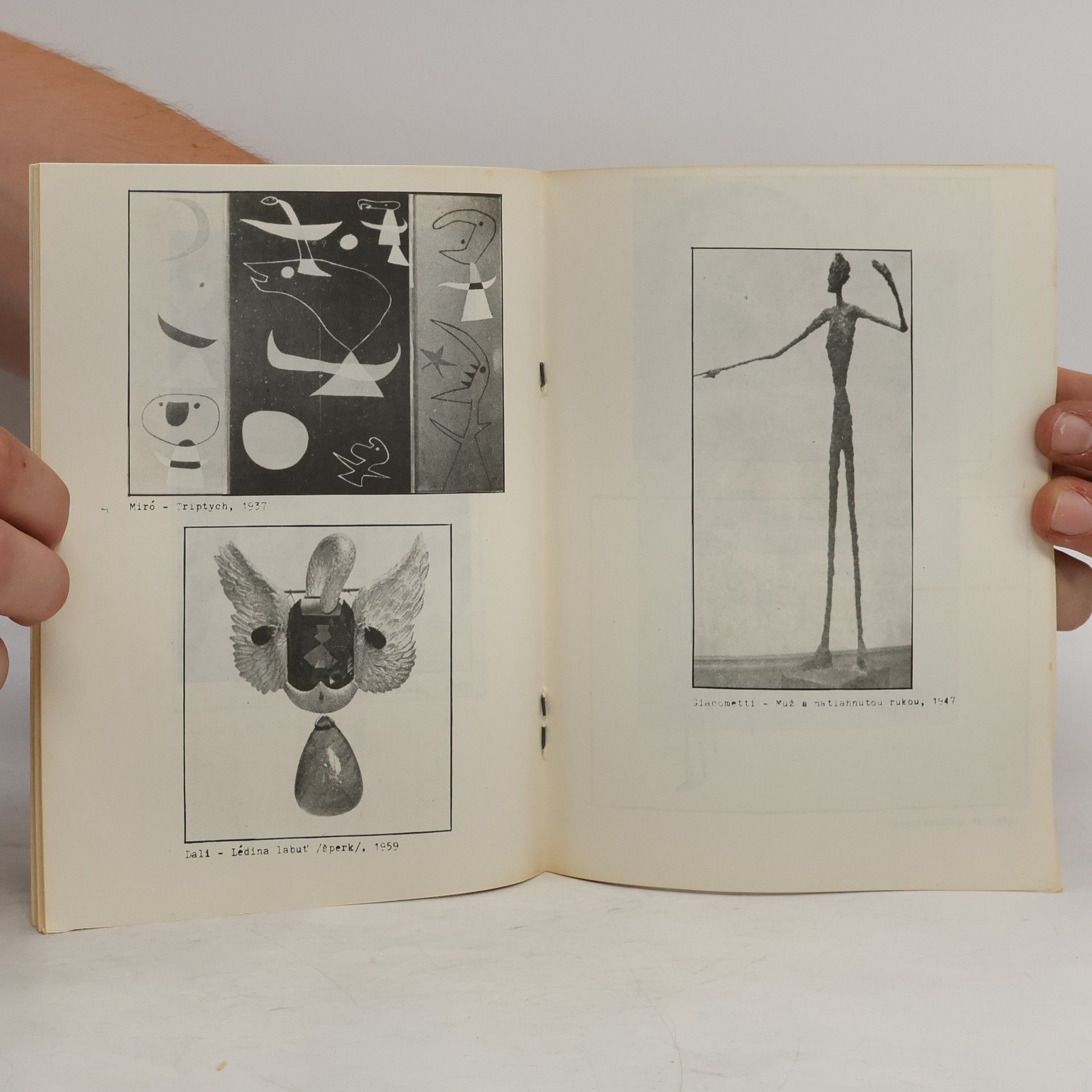 Autorenkollektiv Umělecké proudy XX. století ve výtvarném umění, literatuře, filmu a fotografii