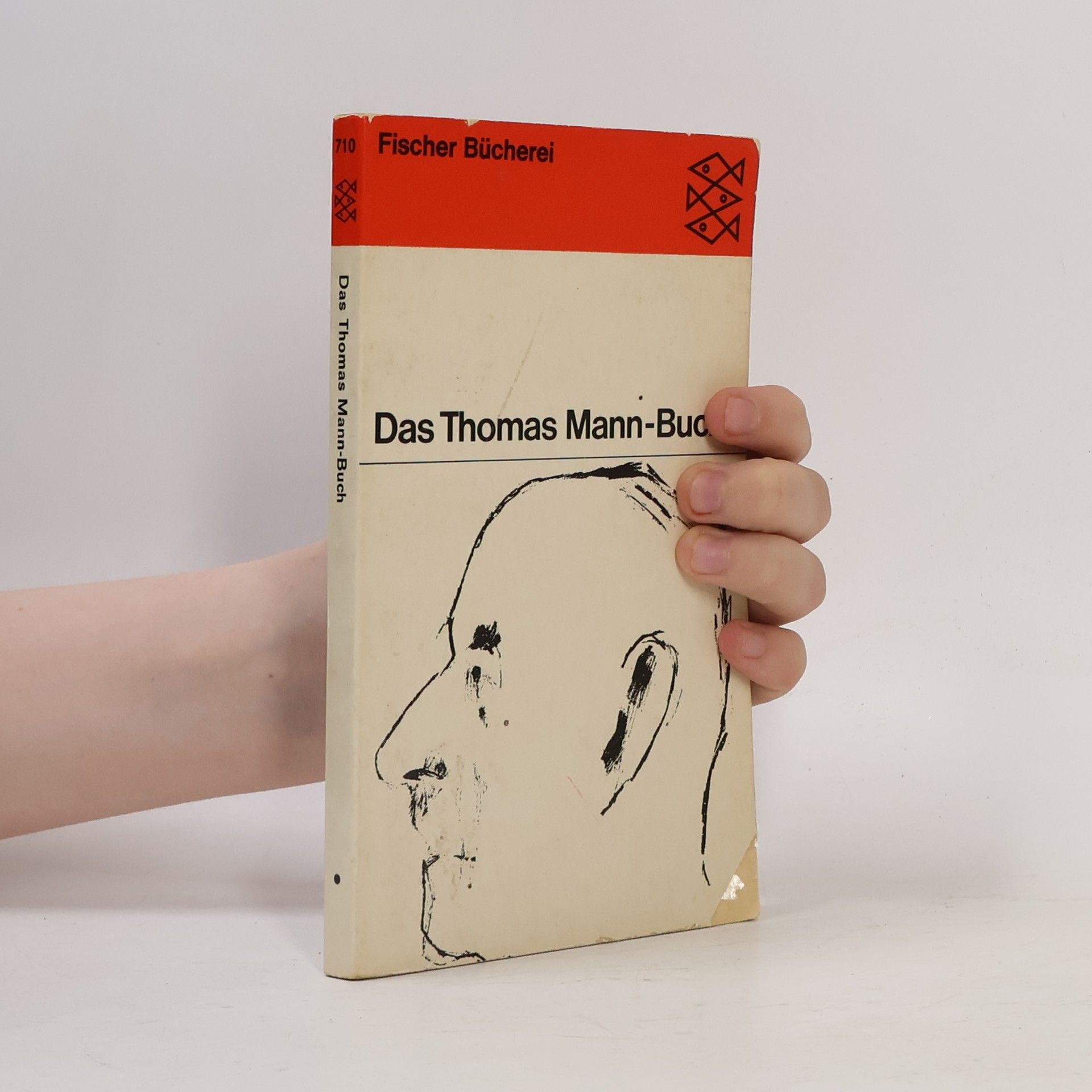 Various authors Das Thomas Mann-Buch