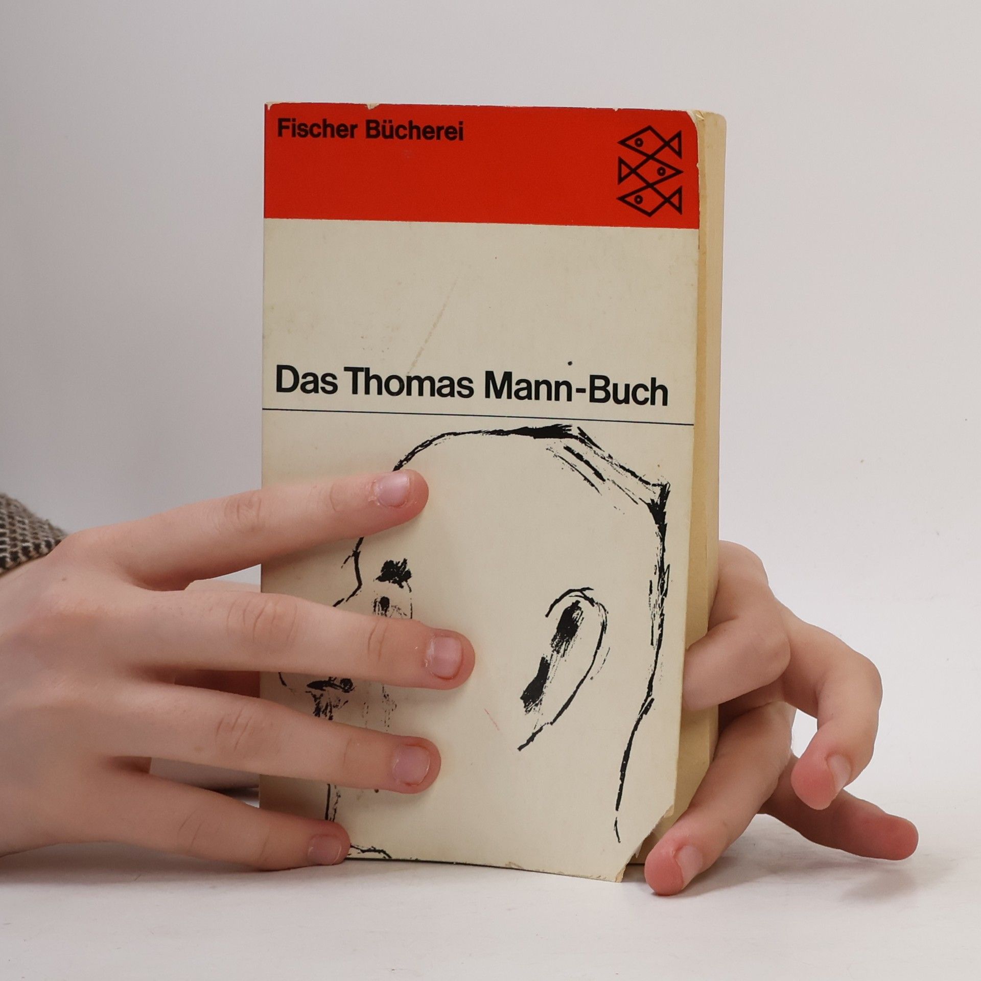Various authors Das Thomas Mann-Buch