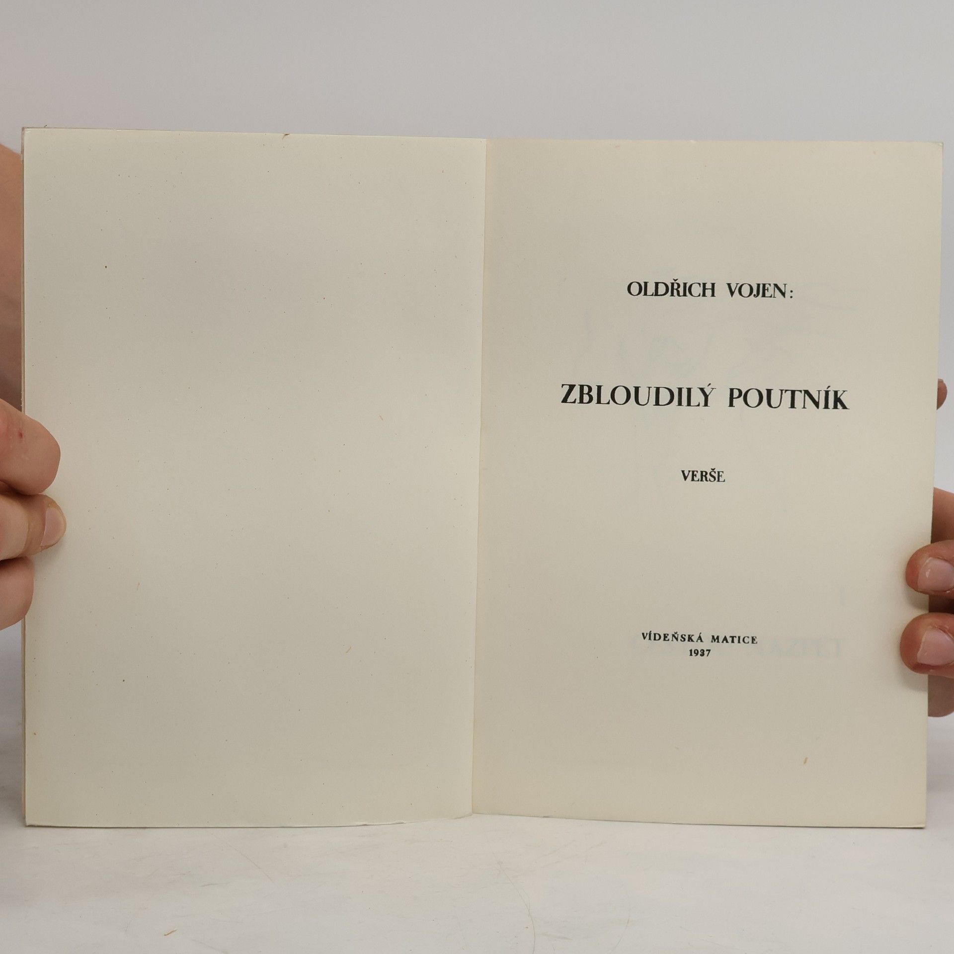 Kolektiv autorů Zbloudilý poutník
